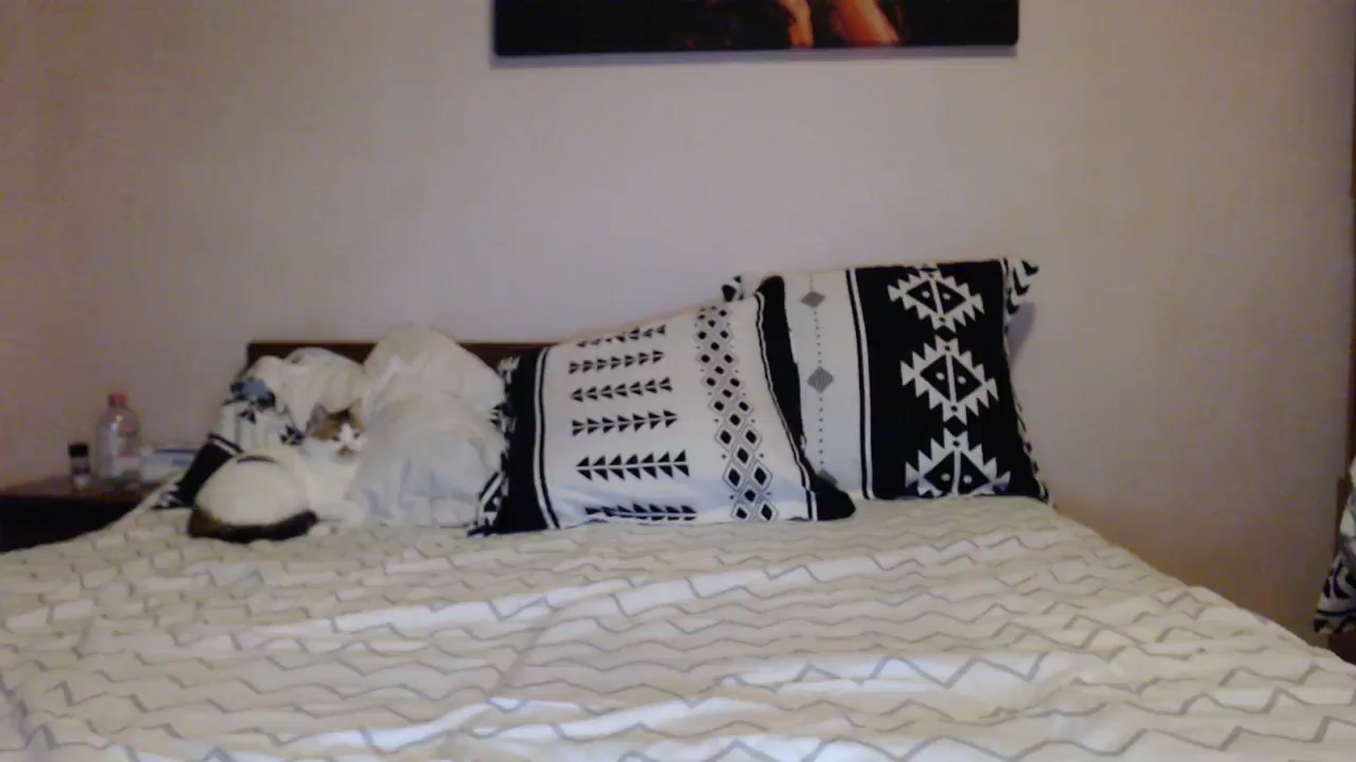 Gallery image thumbnail from Aahh_Emilia's myfreecams stream on, 10/31/2023, 15:57 image 10 of 20