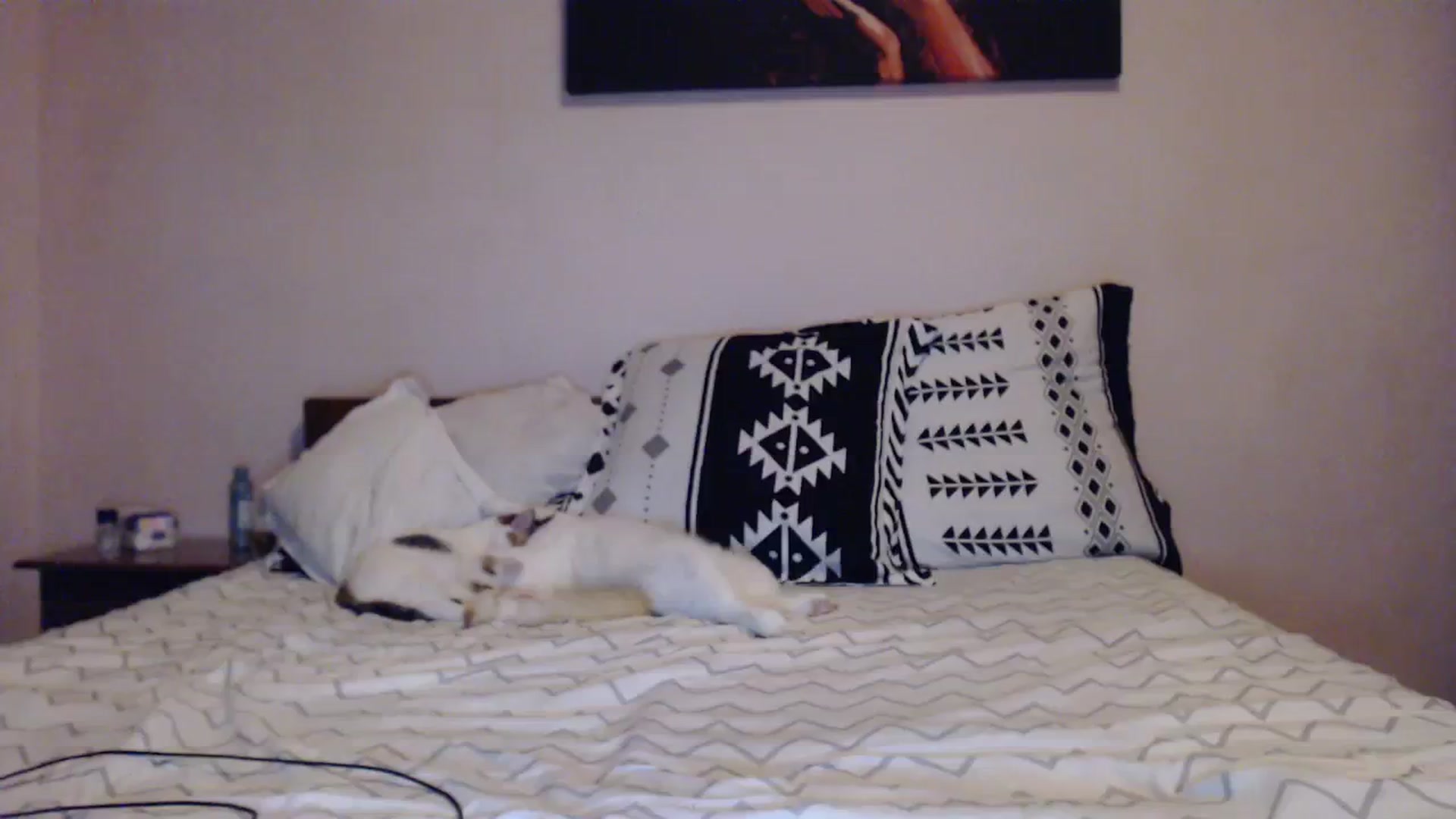 Gallery image thumbnail from Aahh_Emilia's myfreecams stream on, 11/02/2023, 15:26 image 17 of 20