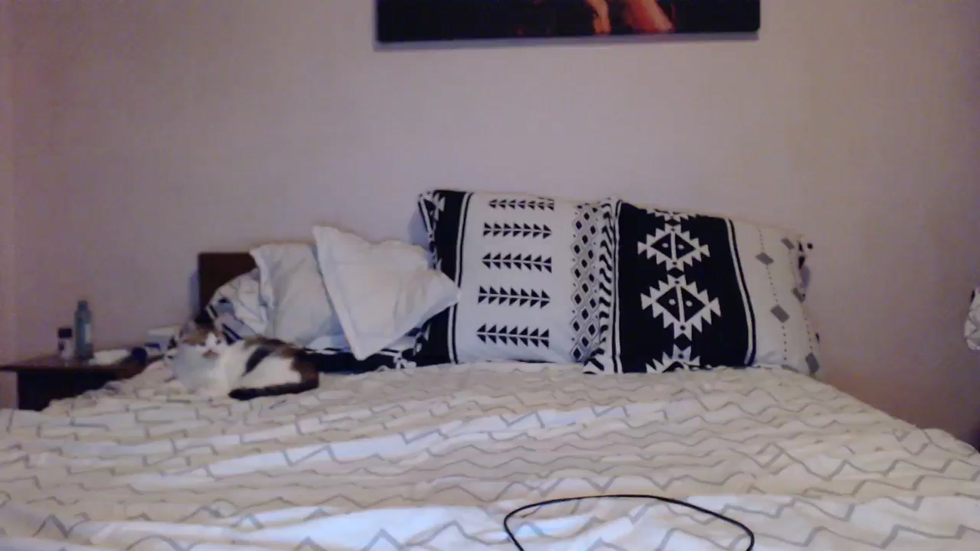 Gallery image thumbnail from Aahh_Emilia's myfreecams stream on, 11/04/2023, 15:11 image 18 of 20