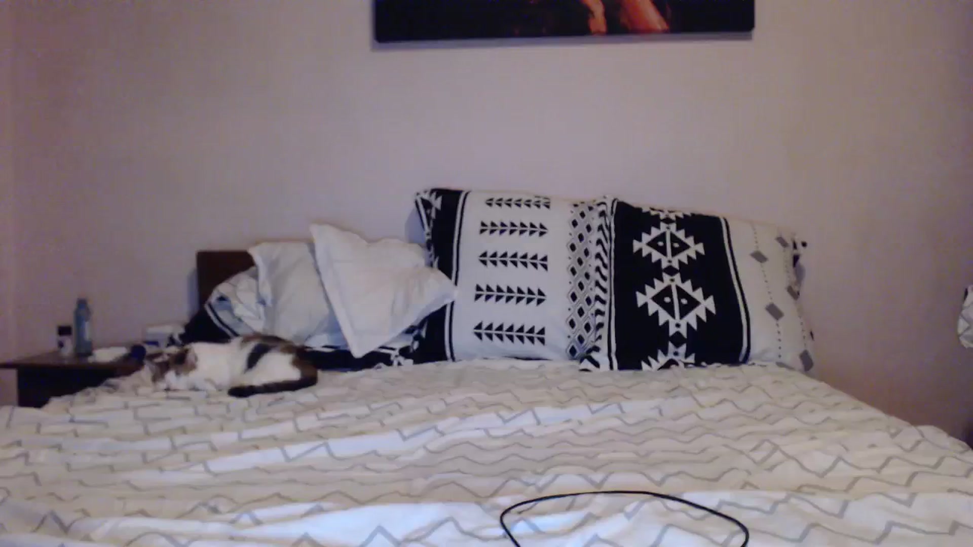 Gallery image thumbnail from Aahh_Emilia's myfreecams stream on, 11/04/2023, 15:11 image 19 of 20
