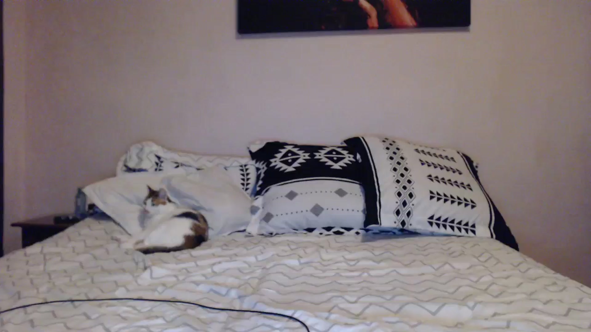 Gallery image thumbnail from Aahh_Emilia's myfreecams stream on, 11/05/2023, 16:24 image 15 of 20