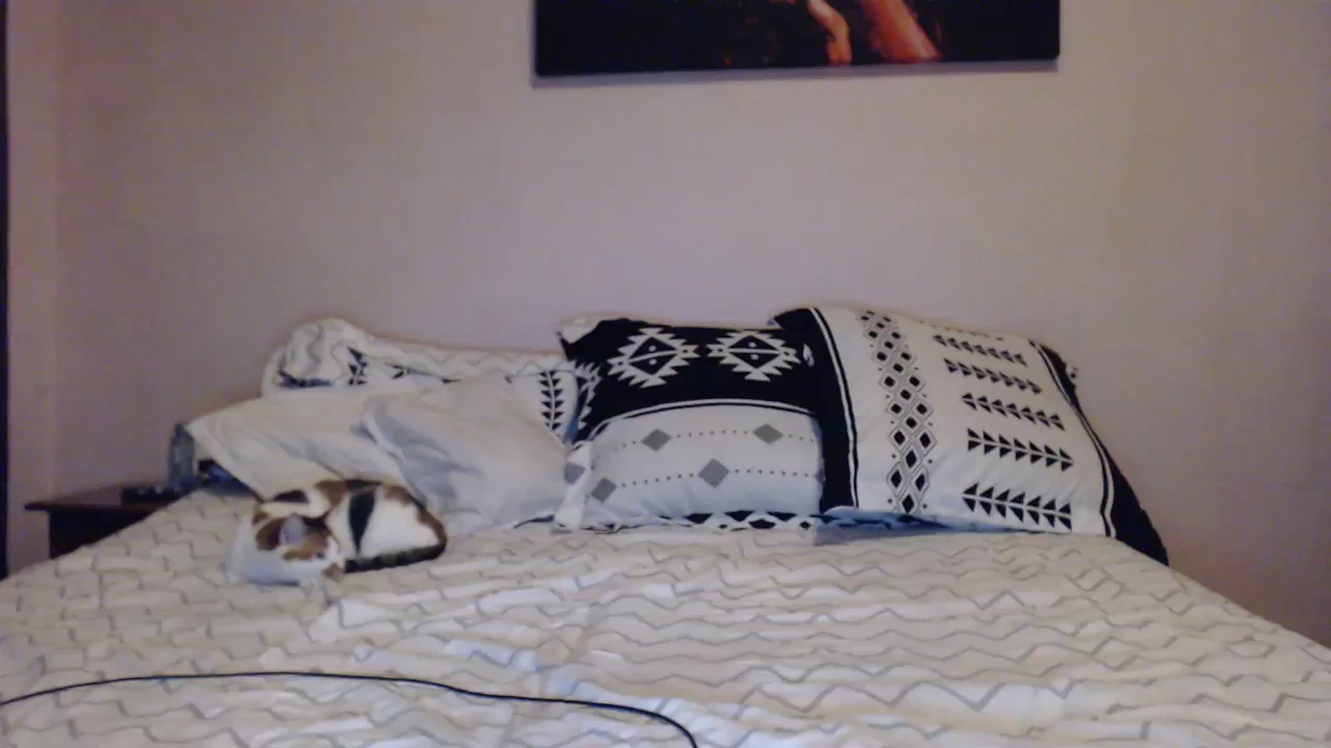 Gallery image thumbnail from Aahh_Emilia's myfreecams stream on, 11/05/2023, 16:24 image 16 of 20