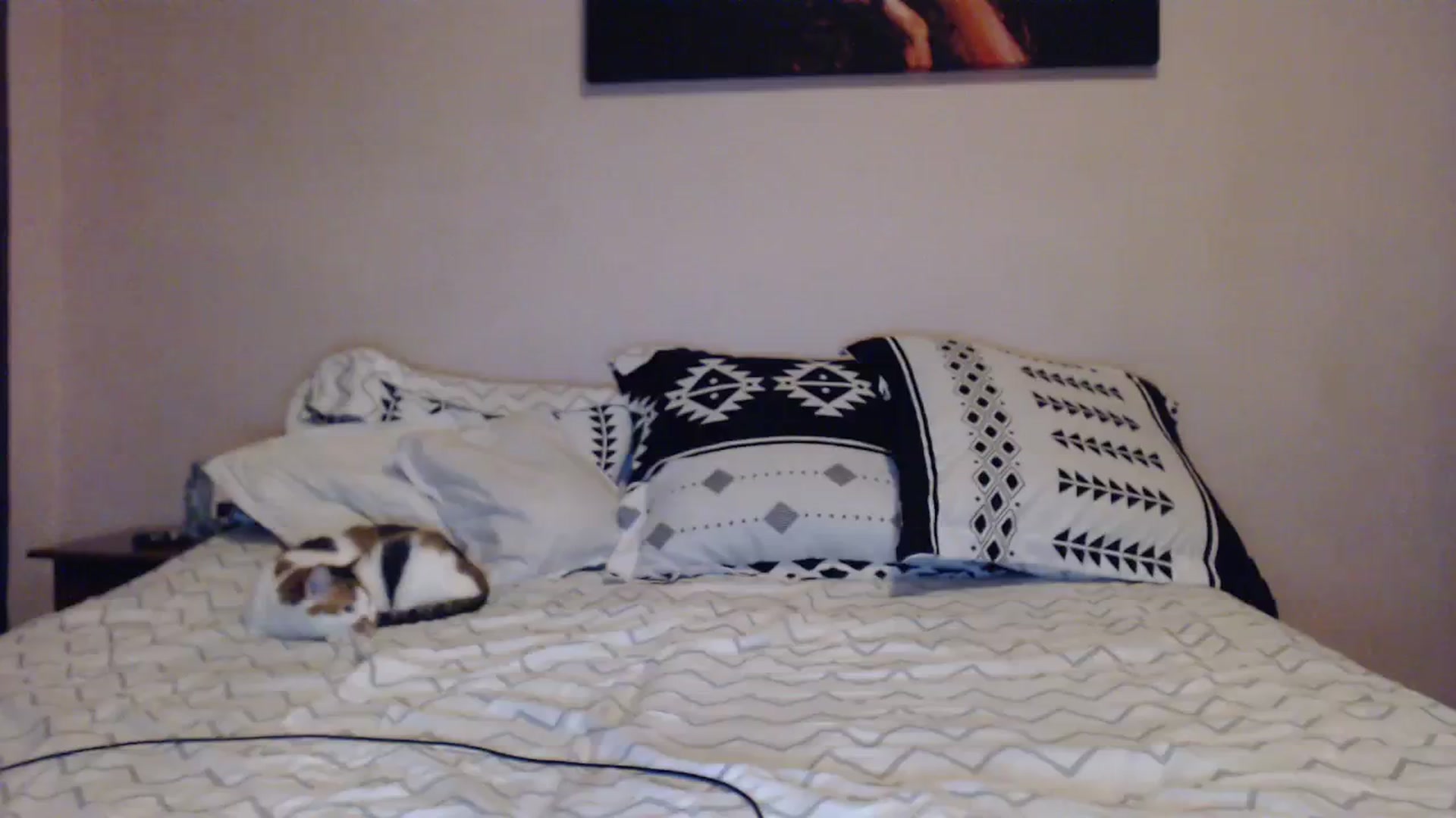 Gallery image thumbnail from Aahh_Emilia's myfreecams stream on, 11/05/2023, 16:24 image 17 of 20