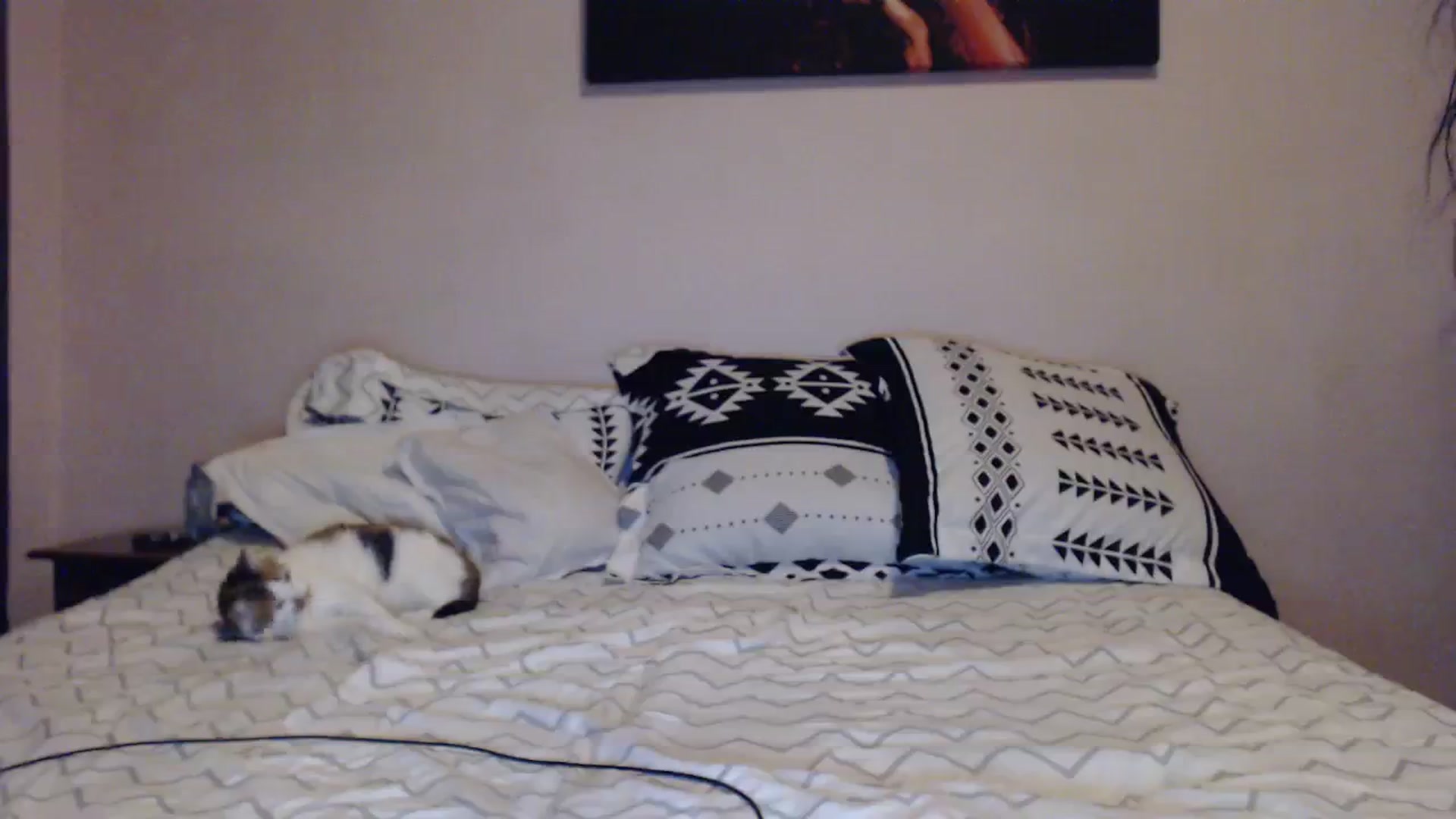 Gallery image thumbnail from Aahh_Emilia's myfreecams stream on, 11/05/2023, 16:24 image 18 of 20