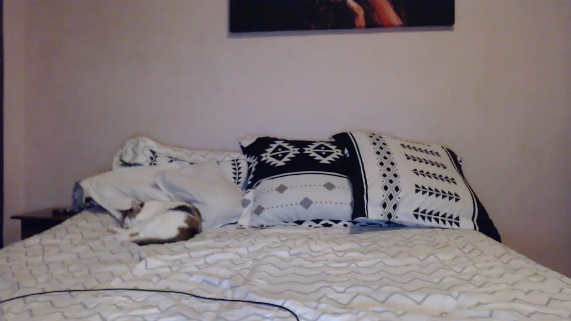 Gallery image thumbnail from Aahh_Emilia's myfreecams stream on, 11/05/2023, 16:24 image 14 of 20