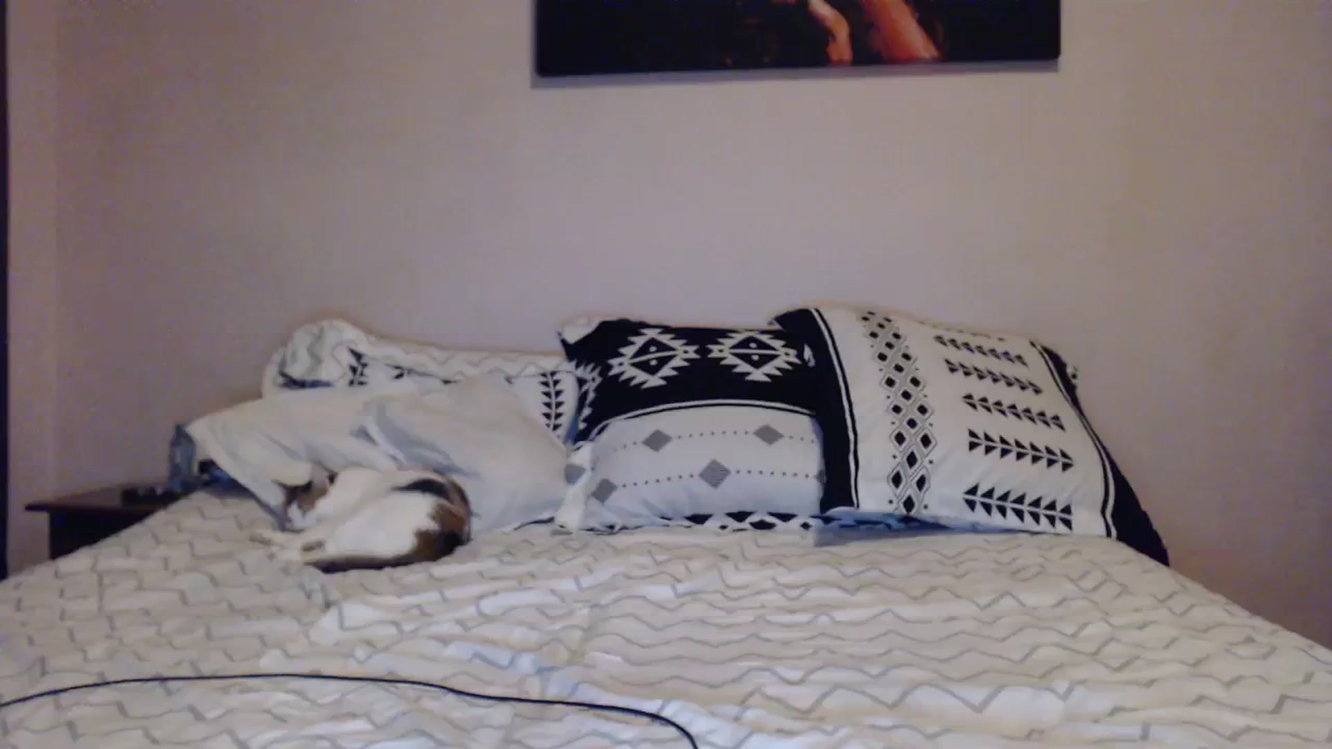 Gallery image thumbnail from Aahh_Emilia's myfreecams stream on, 11/05/2023, 16:24 image 13 of 20