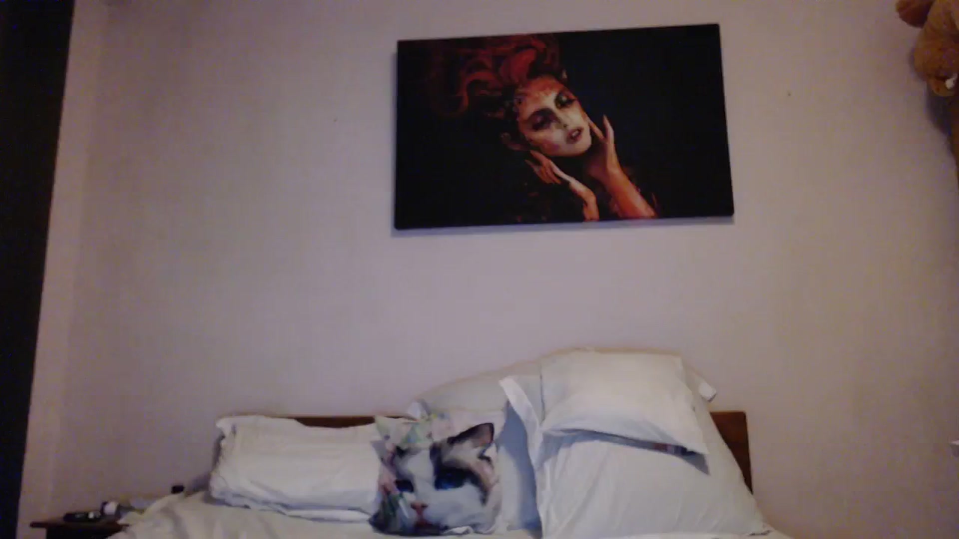 Gallery image thumbnail from Aahh_Emilia's myfreecams stream on, 11/08/2023, 18:33 image 13 of 20