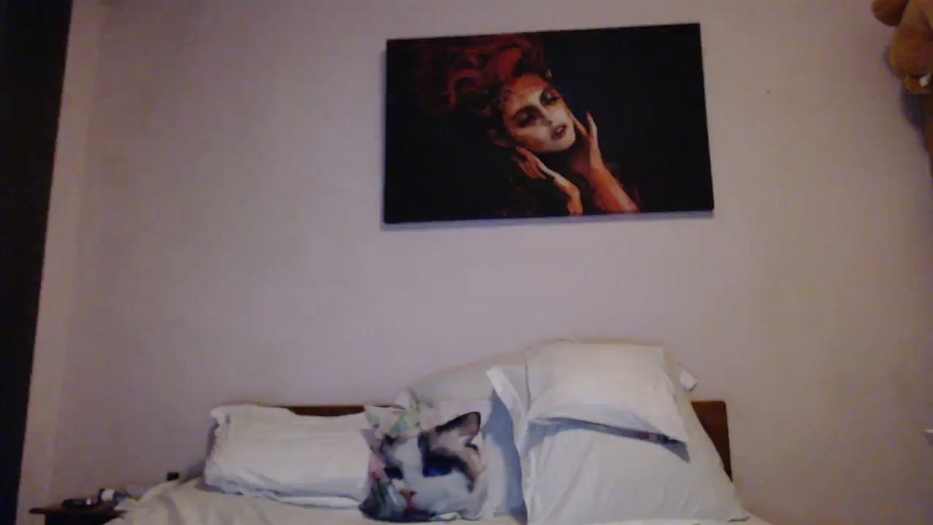 Gallery image thumbnail from Aahh_Emilia's myfreecams stream on, 11/08/2023, 18:33 image 15 of 20