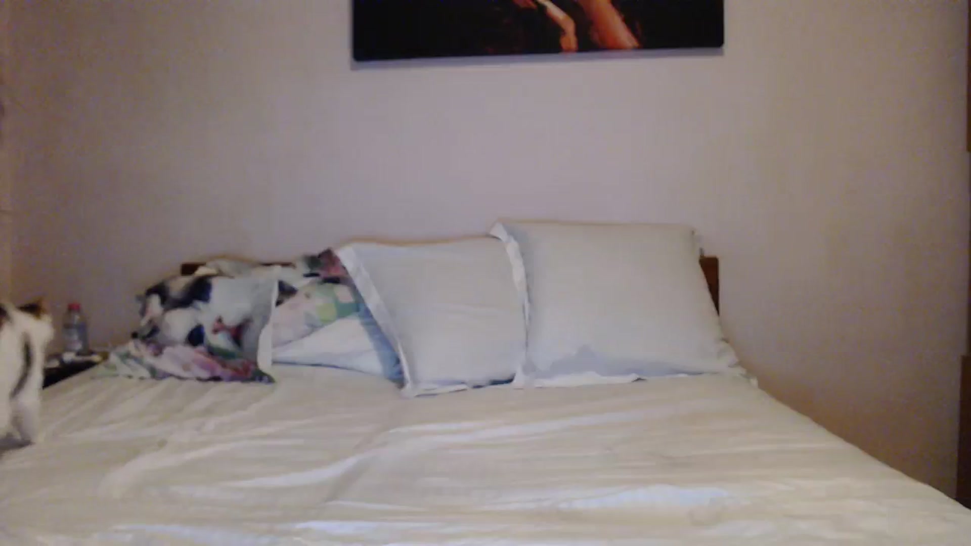 Gallery image thumbnail from Aahh_Emilia's myfreecams stream on, 11/09/2023, 16:09 image 18 of 20