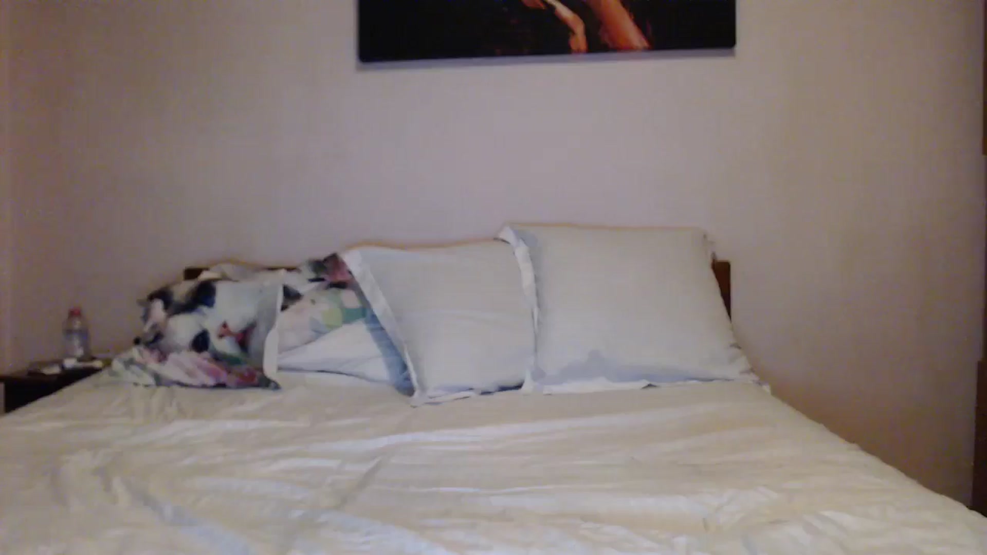 Gallery image thumbnail from Aahh_Emilia's myfreecams stream on, 11/09/2023, 16:09 image 14 of 20