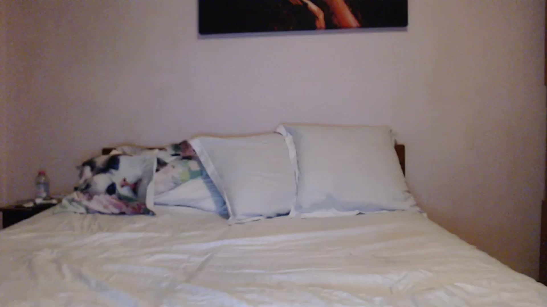 Gallery image thumbnail from Aahh_Emilia's myfreecams stream on, 11/09/2023, 16:09 image 13 of 20