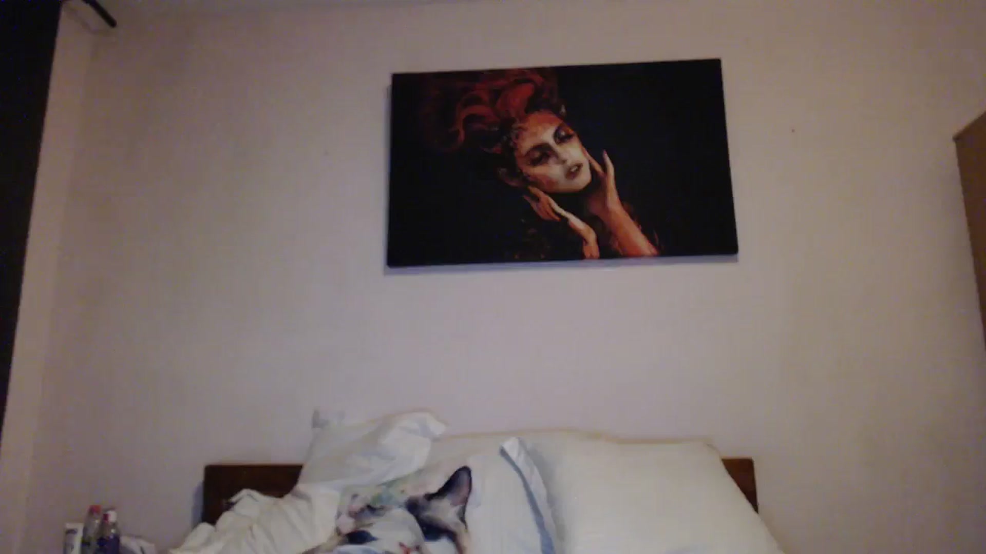 Gallery image thumbnail from Aahh_Emilia's myfreecams stream on, 11/10/2023, 18:28 image 4 of 20