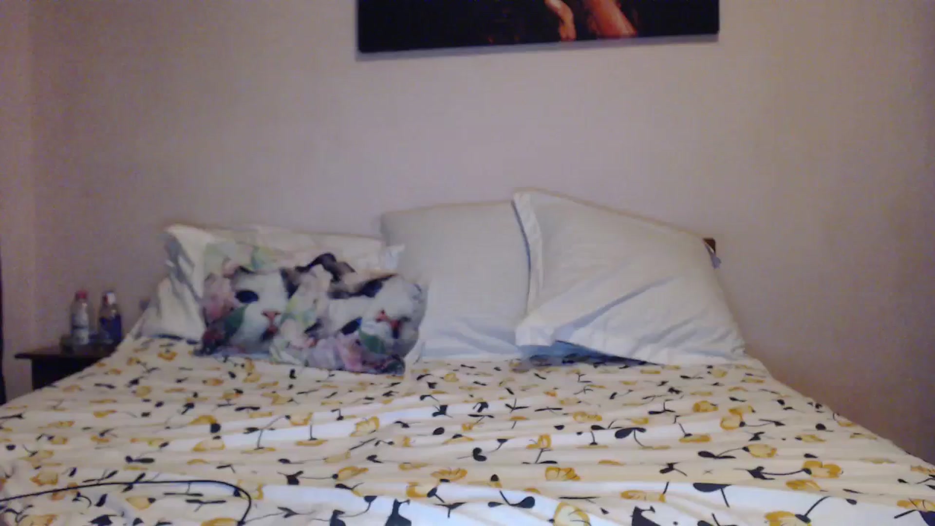 Gallery image thumbnail from Aahh_Emilia's myfreecams stream on, 11/12/2023, 16:33 image 16 of 20