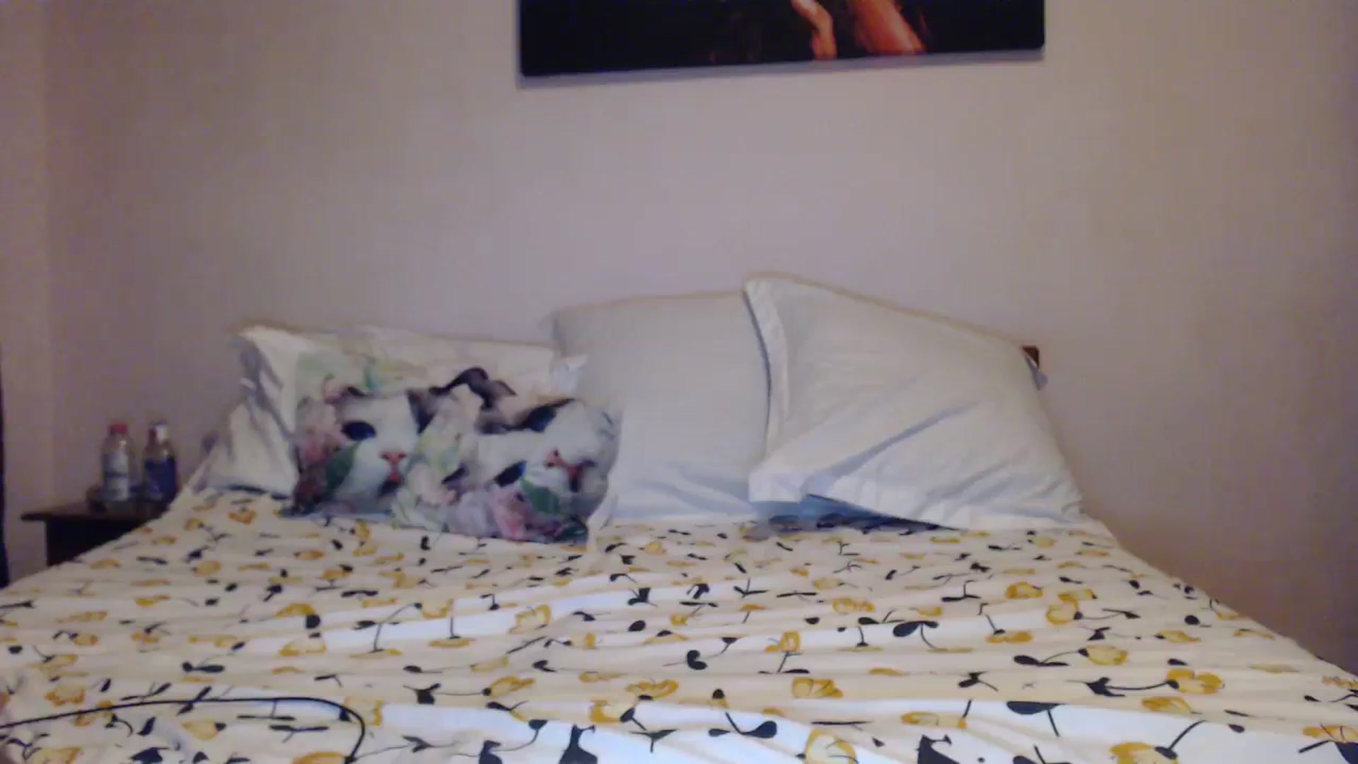 Gallery image thumbnail from Aahh_Emilia's myfreecams stream on, 11/12/2023, 16:33 image 17 of 20