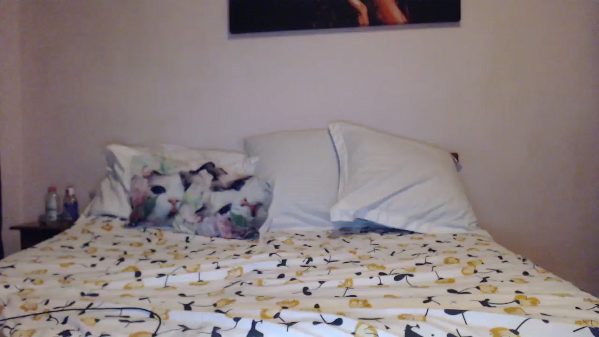 Gallery image thumbnail from Aahh_Emilia's myfreecams stream on, 11/12/2023, 16:33 image 18 of 20
