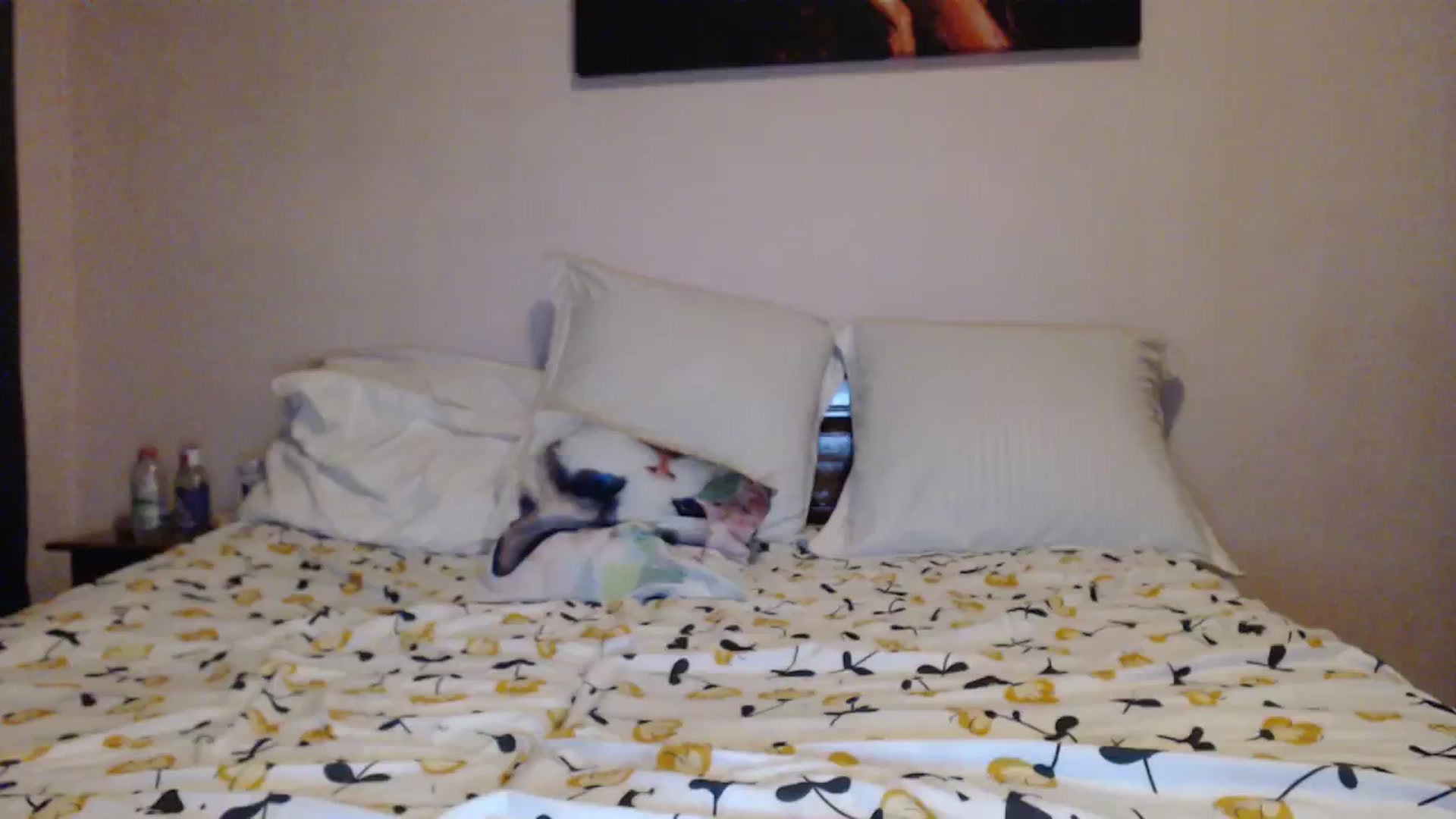 Gallery image thumbnail from Aahh_Emilia's myfreecams stream on, 11/12/2023, 19:12 image 16 of 20