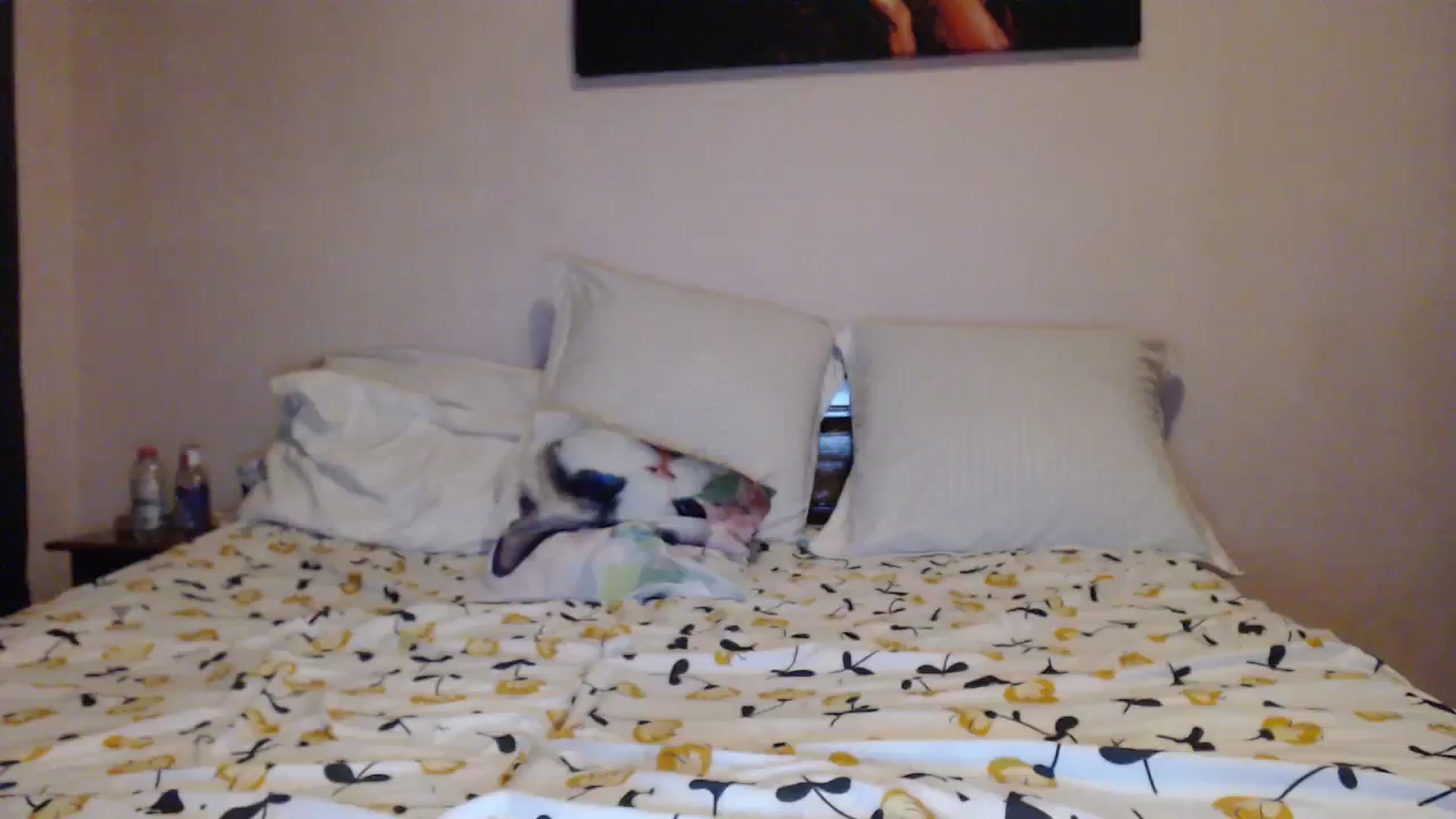 Gallery image thumbnail from Aahh_Emilia's myfreecams stream on, 11/12/2023, 19:12 image 15 of 20