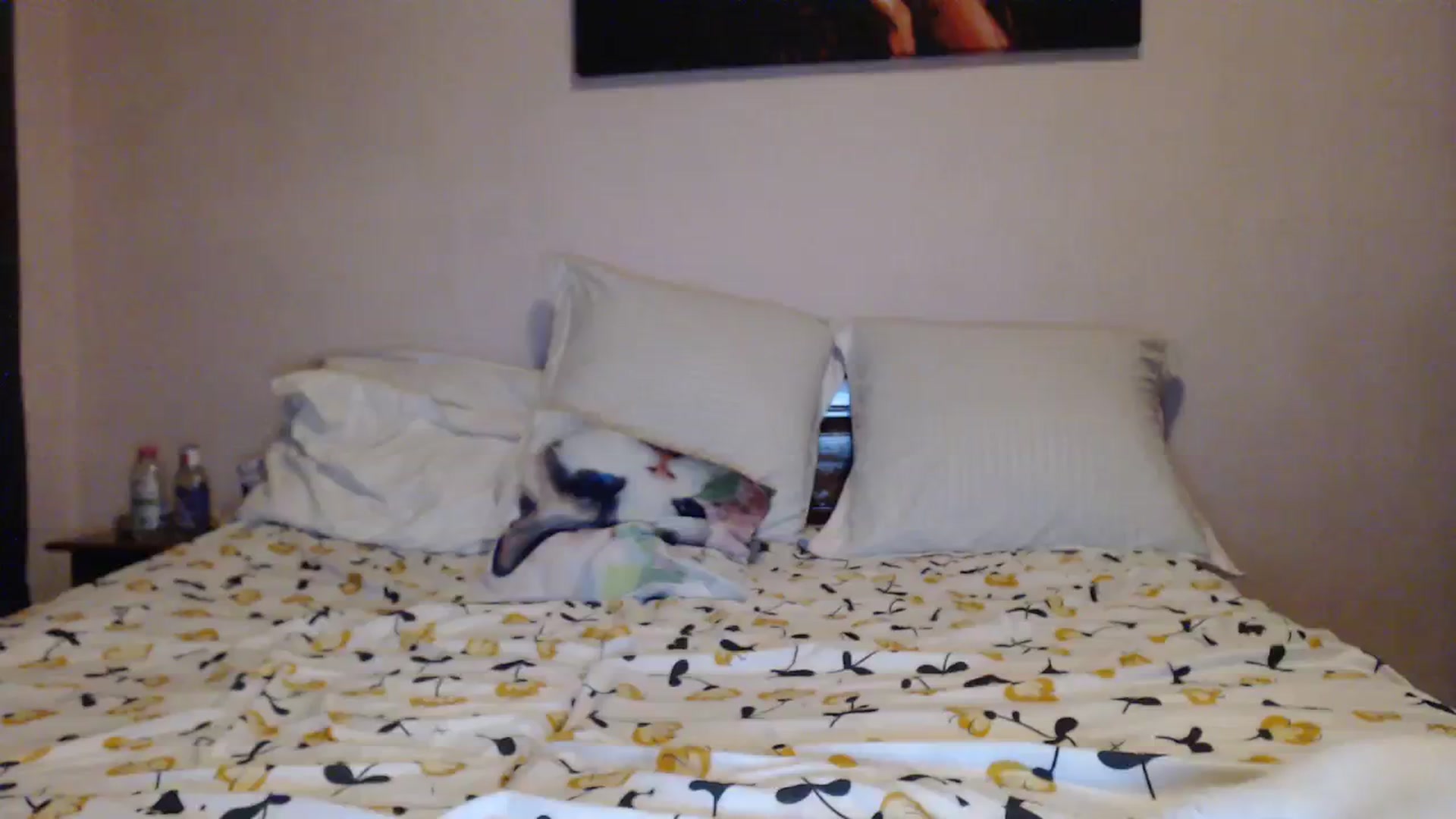 Gallery image thumbnail from Aahh_Emilia's myfreecams stream on, 11/12/2023, 19:12 image 14 of 20
