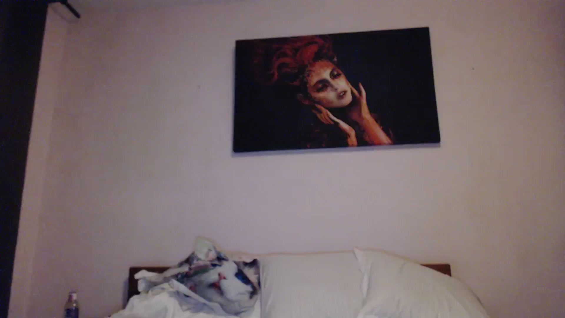 Gallery image thumbnail from Aahh_Emilia's myfreecams stream on, 11/13/2023, 16:19 image 15 of 20