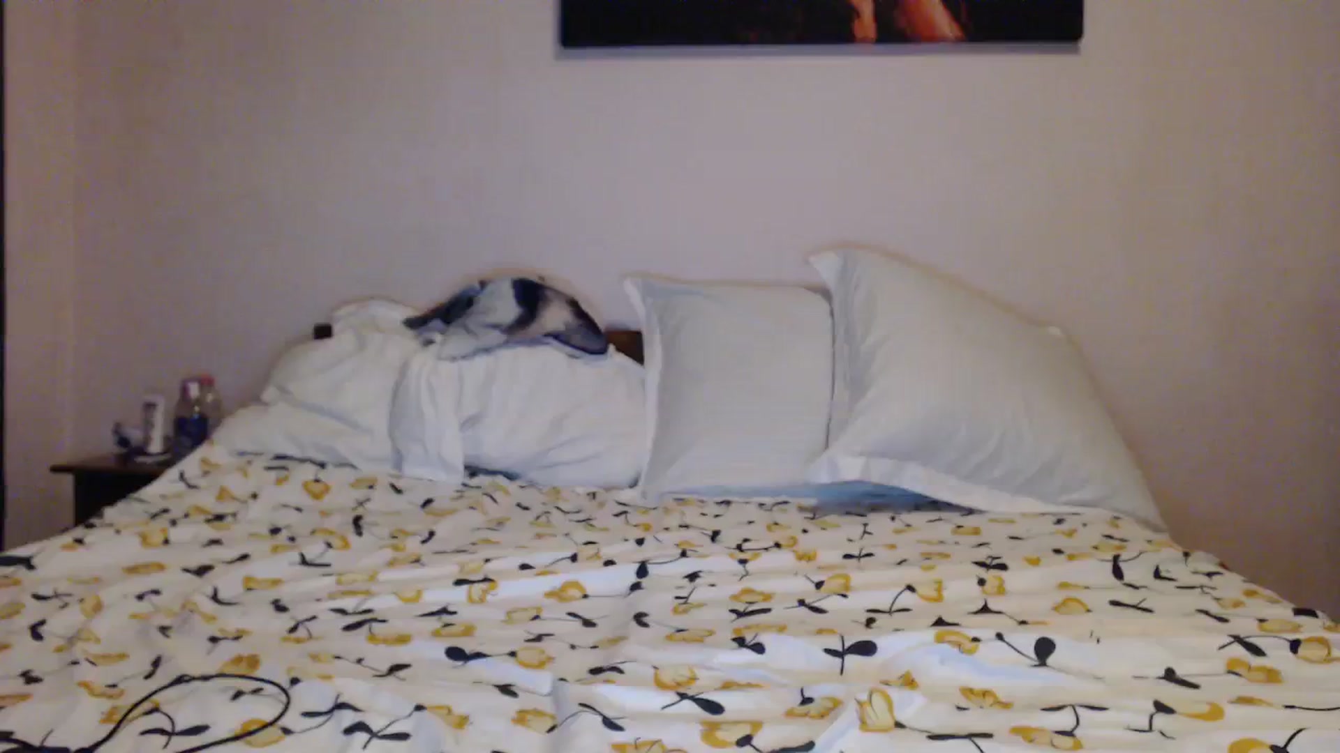 Gallery image thumbnail from Aahh_Emilia's myfreecams stream on, 11/14/2023, 17:10 image 10 of 20
