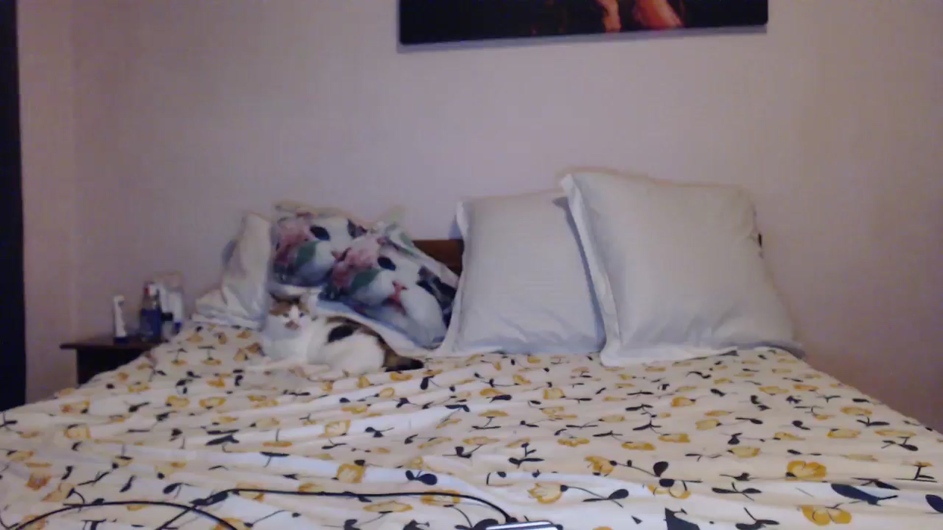Gallery image thumbnail from Aahh_Emilia's myfreecams stream on, 11/16/2023, 16:41 image 8 of 20