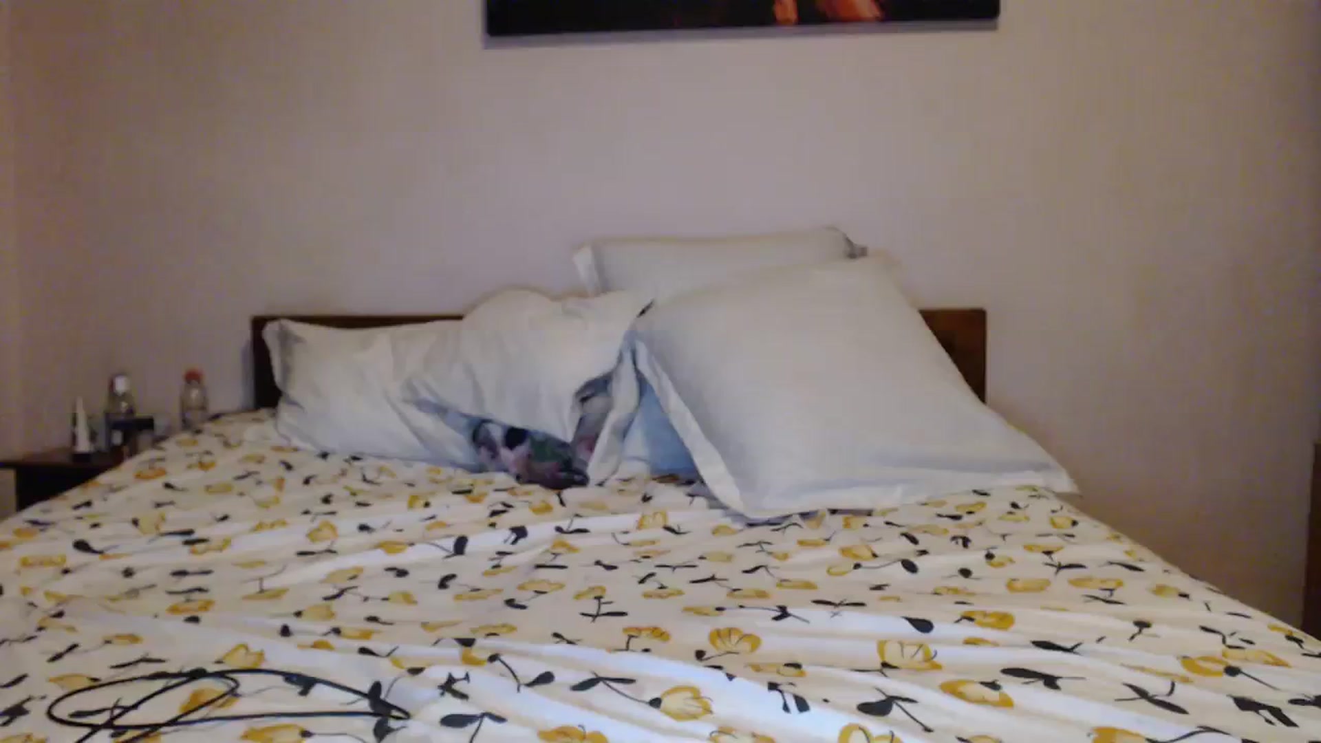 Gallery image thumbnail from Aahh_Emilia's myfreecams stream on, 11/17/2023, 18:24 image 15 of 20