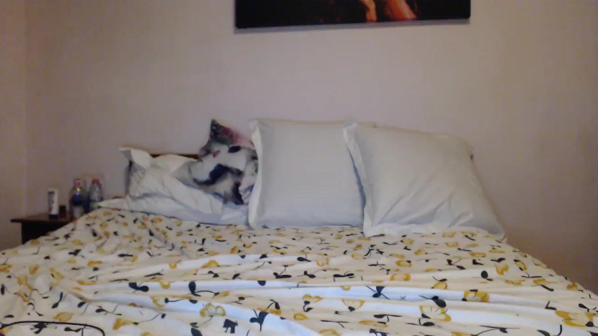 Gallery image thumbnail from Aahh_Emilia's myfreecams stream on, 11/18/2023, 16:29 image 8 of 20
