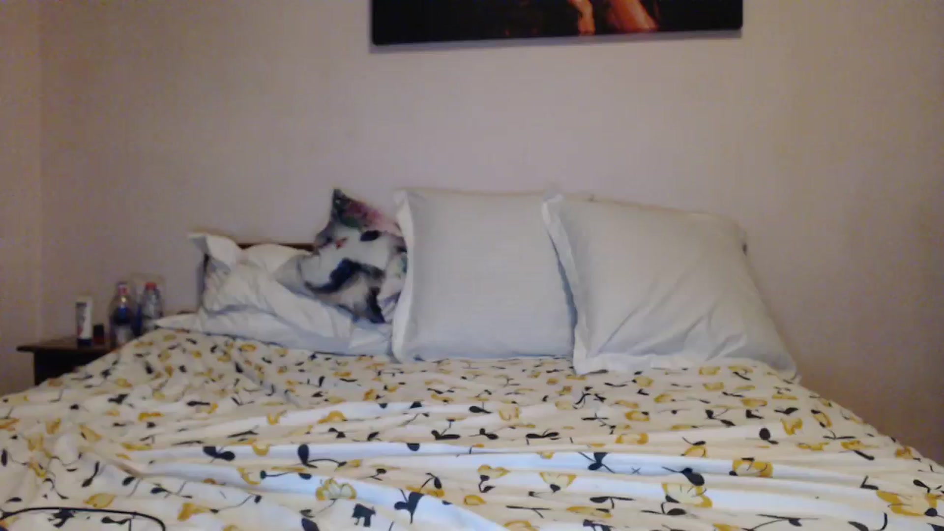Gallery image thumbnail from Aahh_Emilia's myfreecams stream on, 11/18/2023, 16:29 image 11 of 20