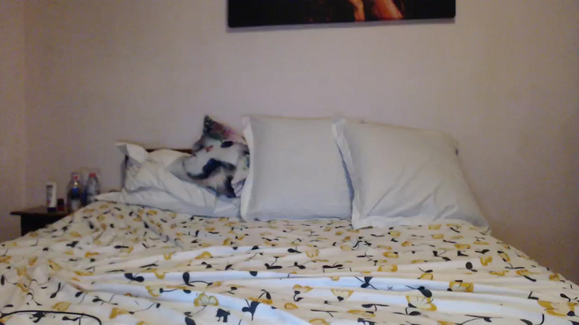 Gallery image thumbnail from Aahh_Emilia's myfreecams stream on, 11/18/2023, 16:29 image 10 of 20