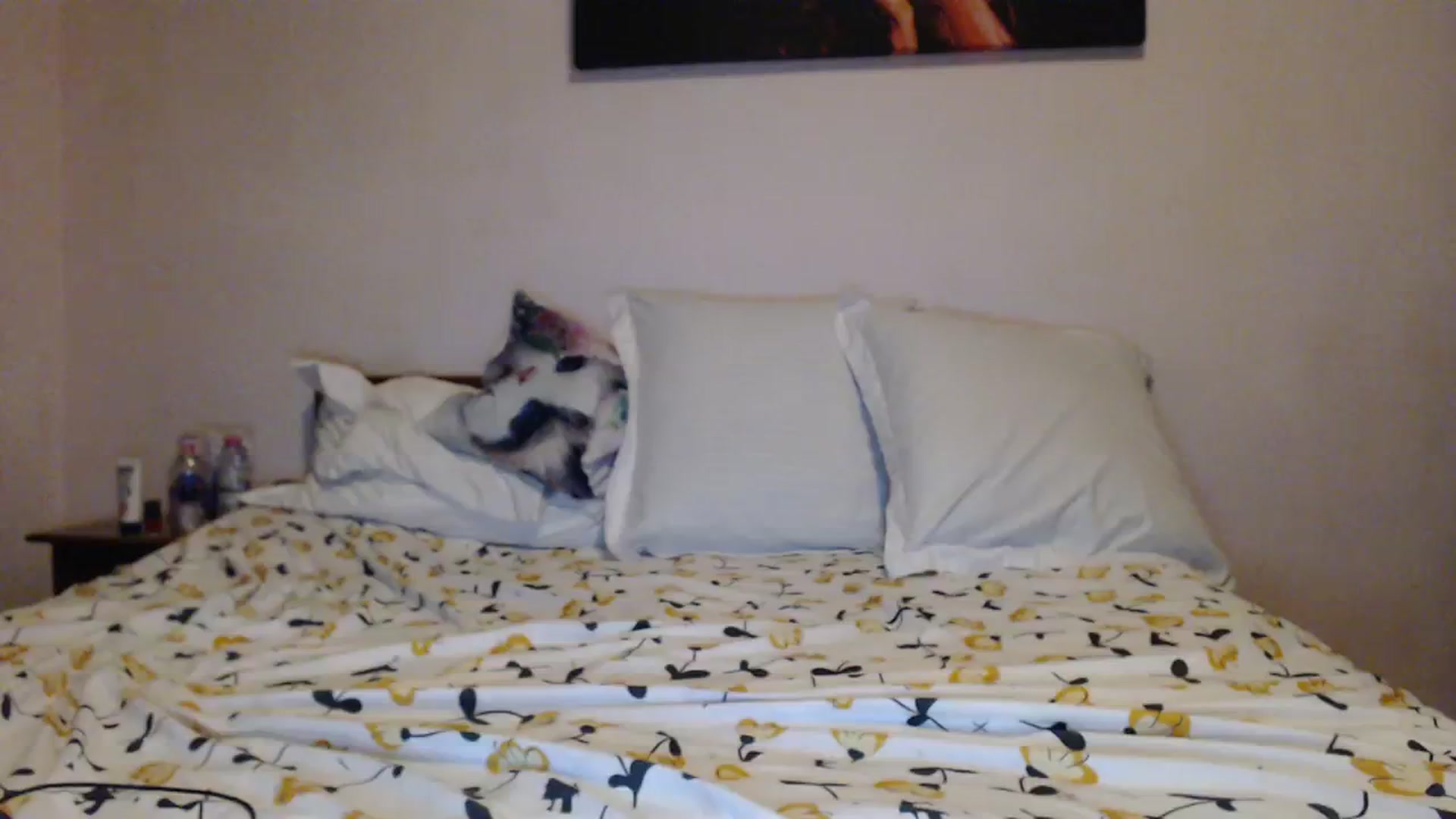 Gallery image thumbnail from Aahh_Emilia's myfreecams stream on, 11/18/2023, 16:29 image 6 of 20