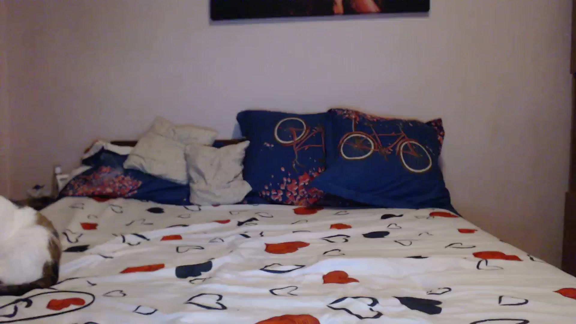 Gallery image thumbnail from Aahh_Emilia's myfreecams stream on, 11/20/2023, 16:53 image 18 of 20