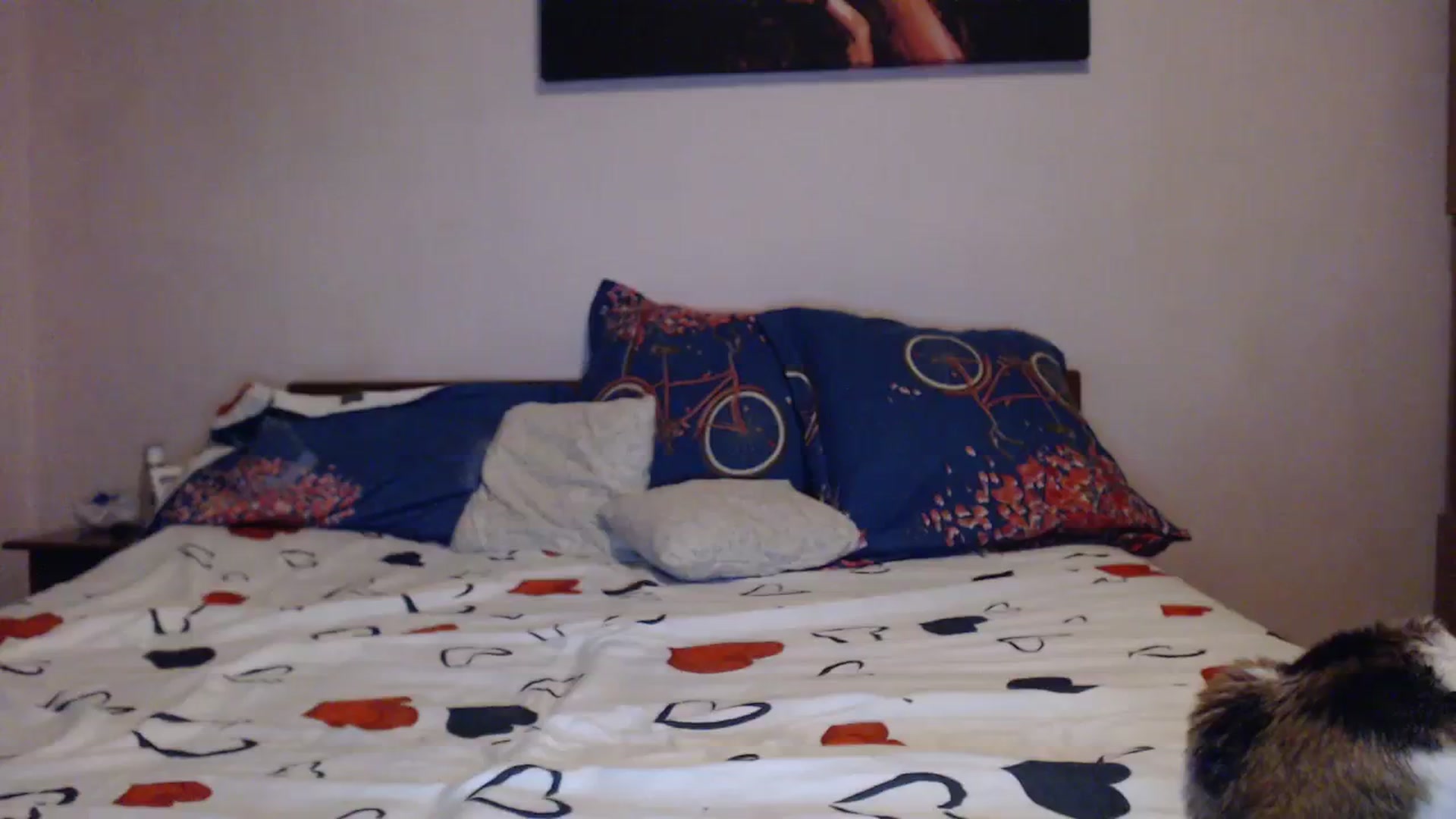 Gallery image thumbnail from Aahh_Emilia's myfreecams stream on, 11/20/2023, 19:20 image 15 of 20