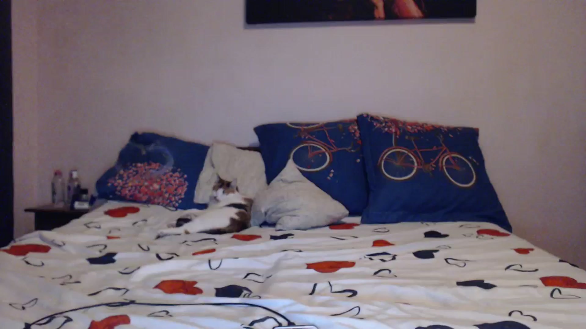 Gallery image thumbnail from Aahh_Emilia's myfreecams stream on, 11/23/2023, 16:43 image 17 of 20