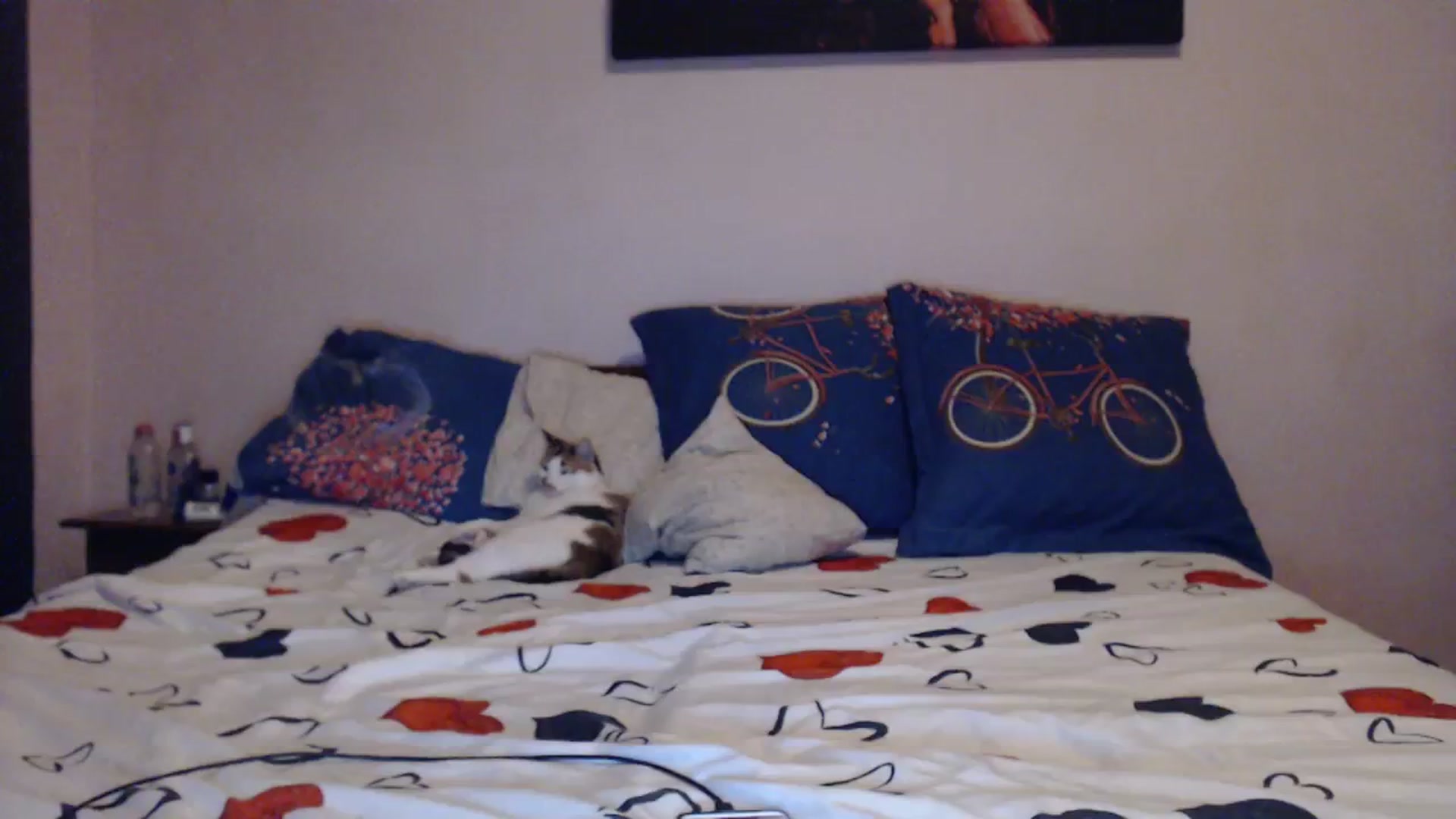 Gallery image thumbnail from Aahh_Emilia's myfreecams stream on, 11/23/2023, 16:43 image 15 of 20