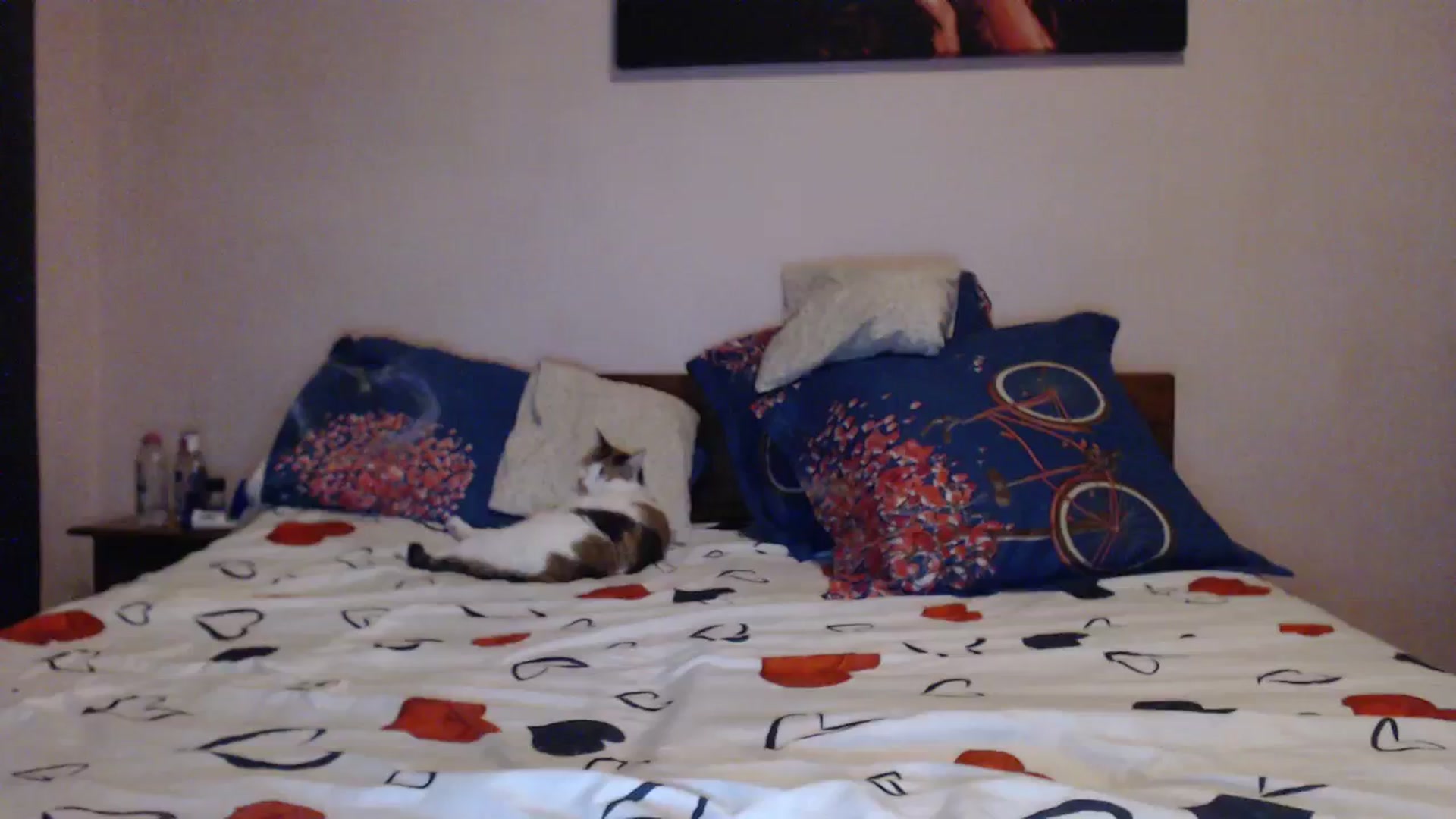 Gallery image thumbnail from Aahh_Emilia's myfreecams stream on, 11/23/2023, 19:13 image 19 of 20