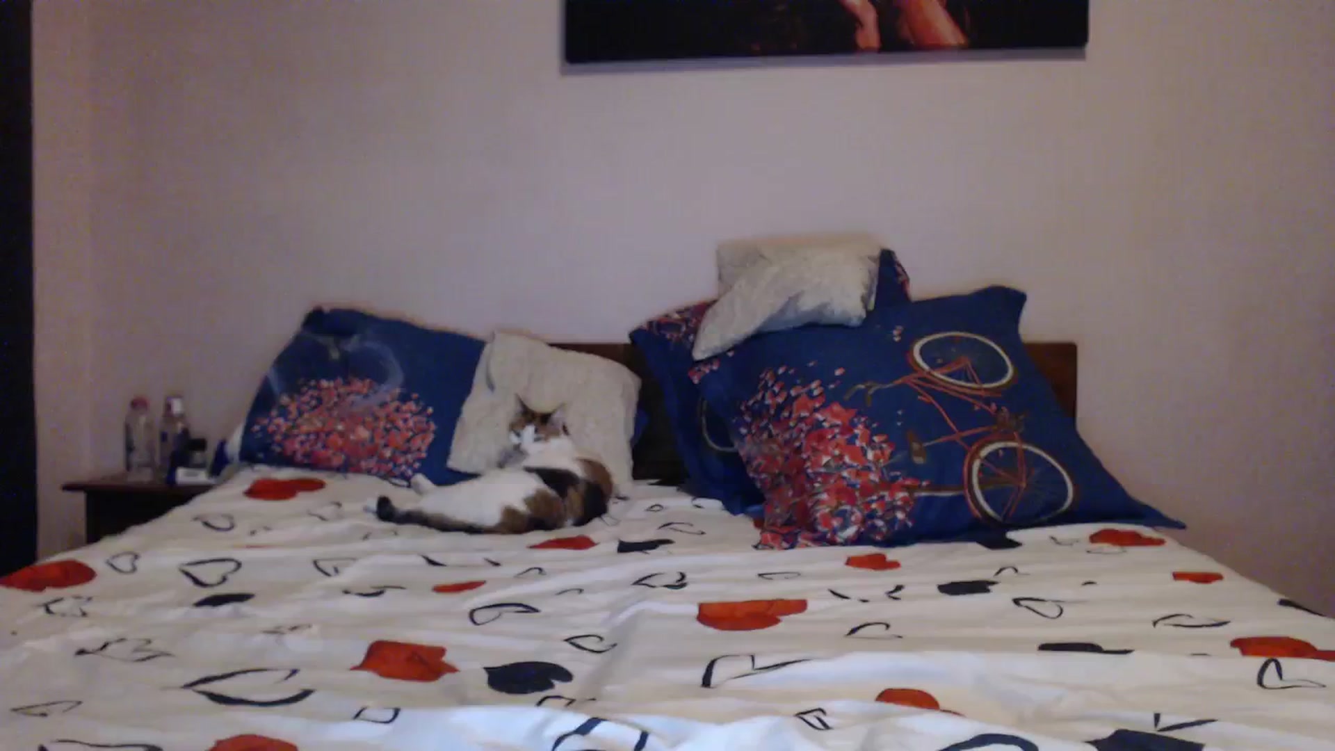 Gallery image thumbnail from Aahh_Emilia's myfreecams stream on, 11/23/2023, 19:13 image 18 of 20