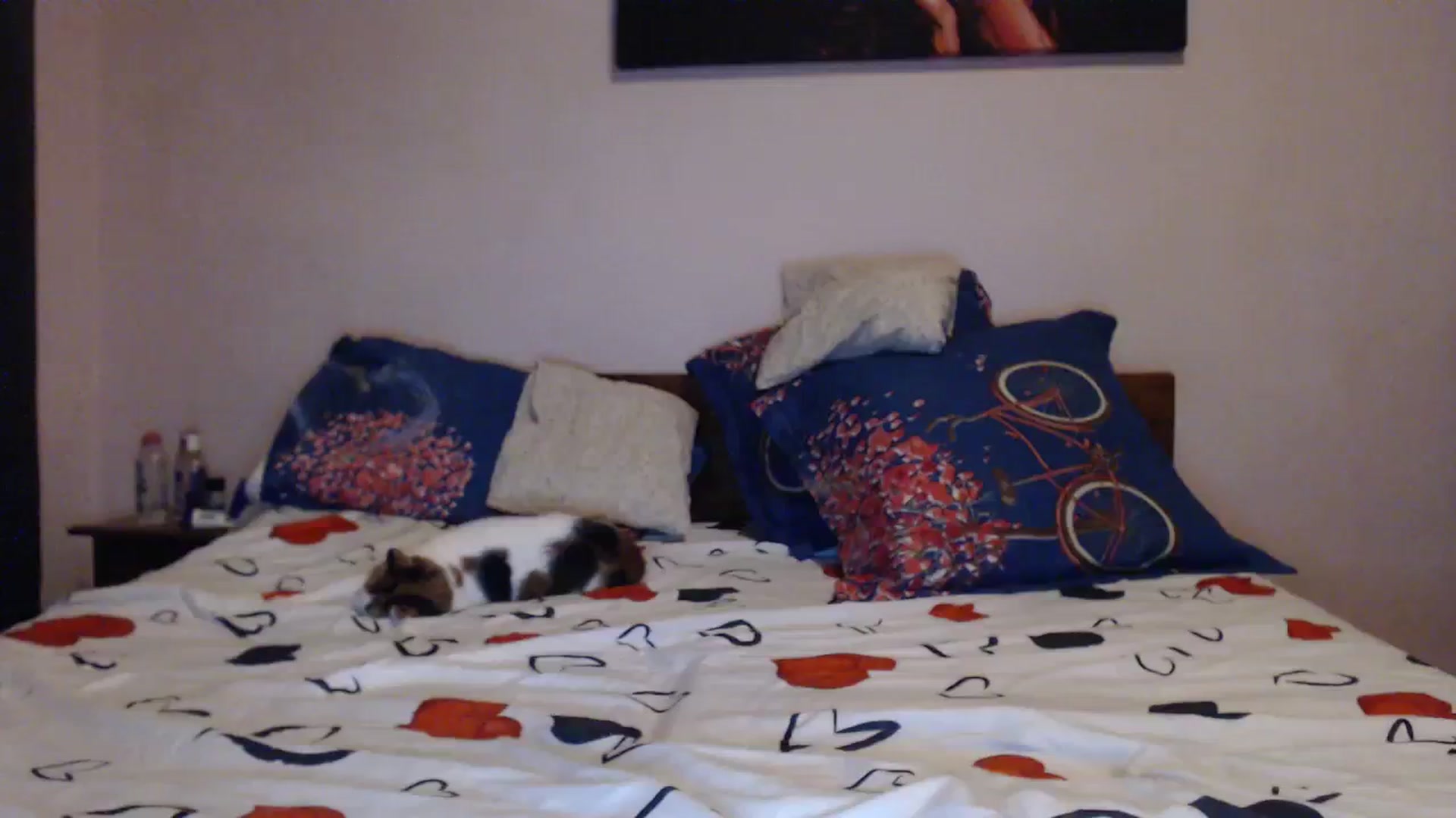 Gallery image thumbnail from Aahh_Emilia's myfreecams stream on, 11/23/2023, 19:13 image 6 of 20