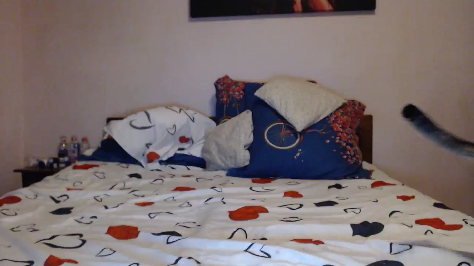 Gallery image thumbnail from Aahh_Emilia's myfreecams stream on, 11/25/2023, 19:11 image 8 of 20