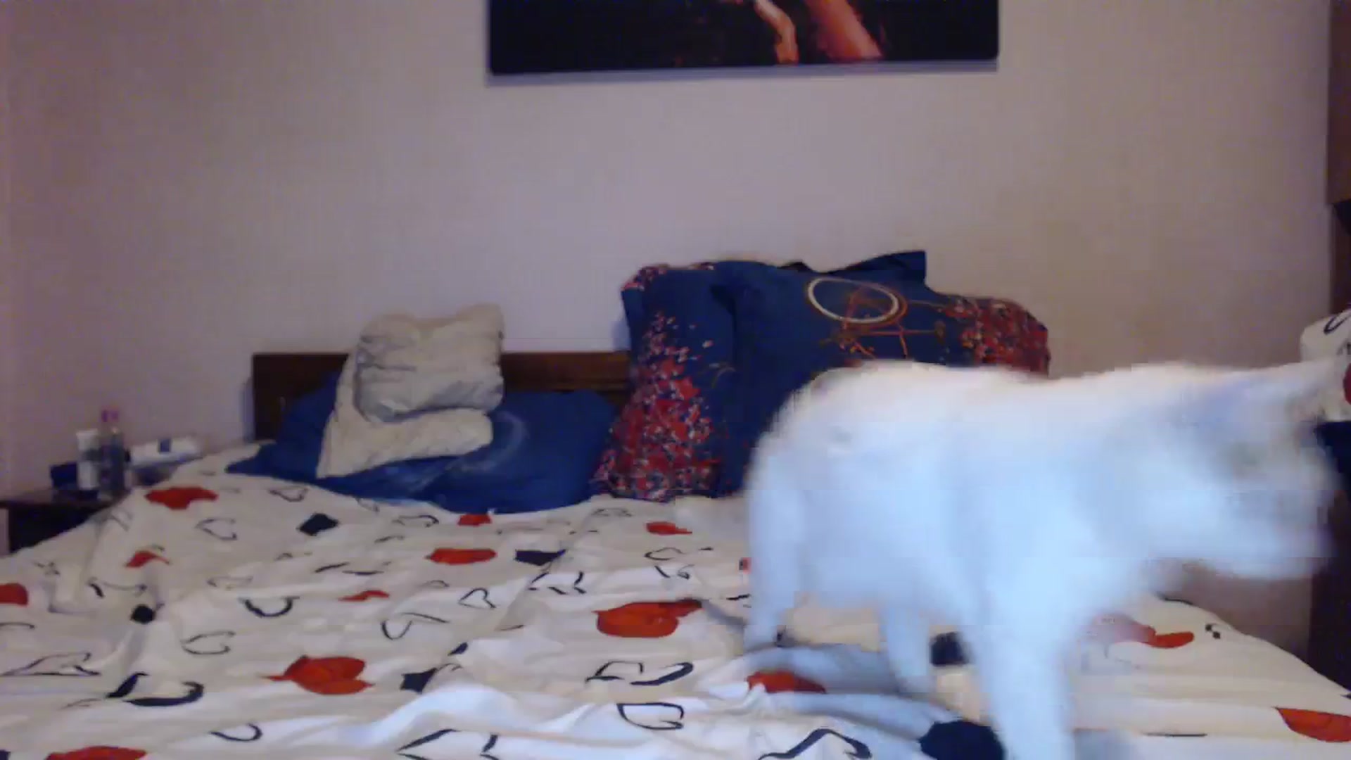 Gallery image thumbnail from Aahh_Emilia's myfreecams stream on, 11/27/2023, 16:27 image 5 of 20