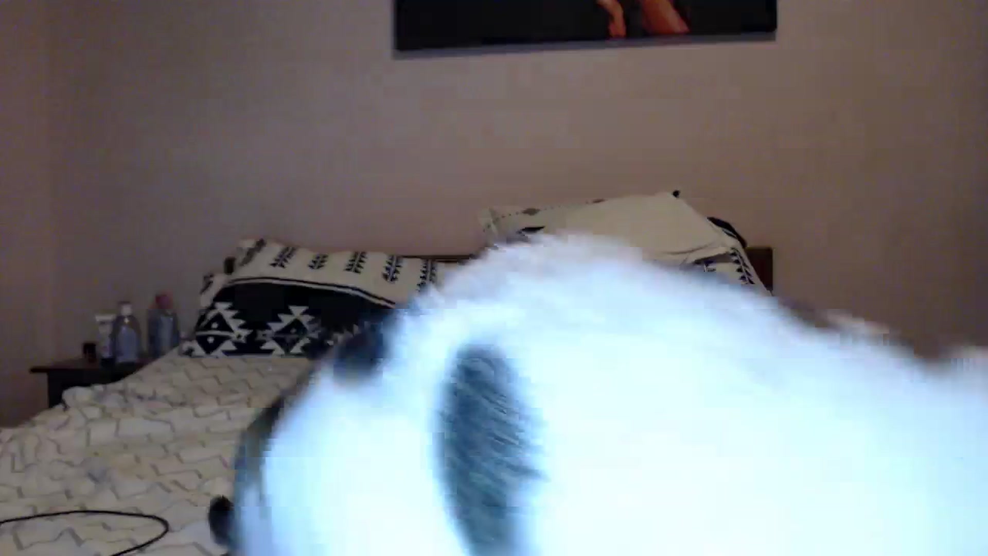 Gallery image thumbnail from Aahh_Emilia's myfreecams stream on, 12/01/2023, 18:39 image 12 of 20