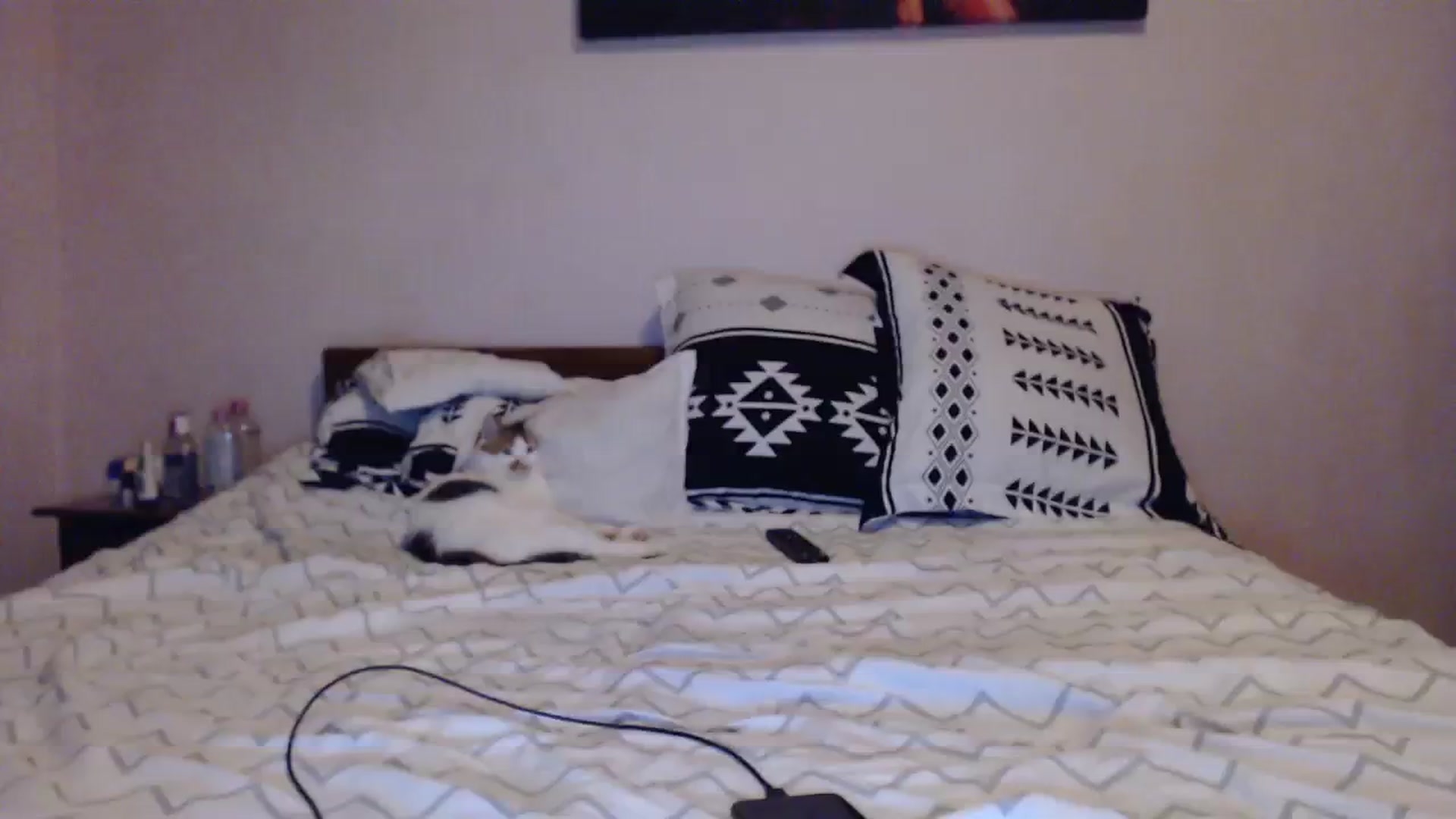 Gallery image thumbnail from Aahh_Emilia's myfreecams stream on, 12/02/2023, 16:14 image 6 of 20