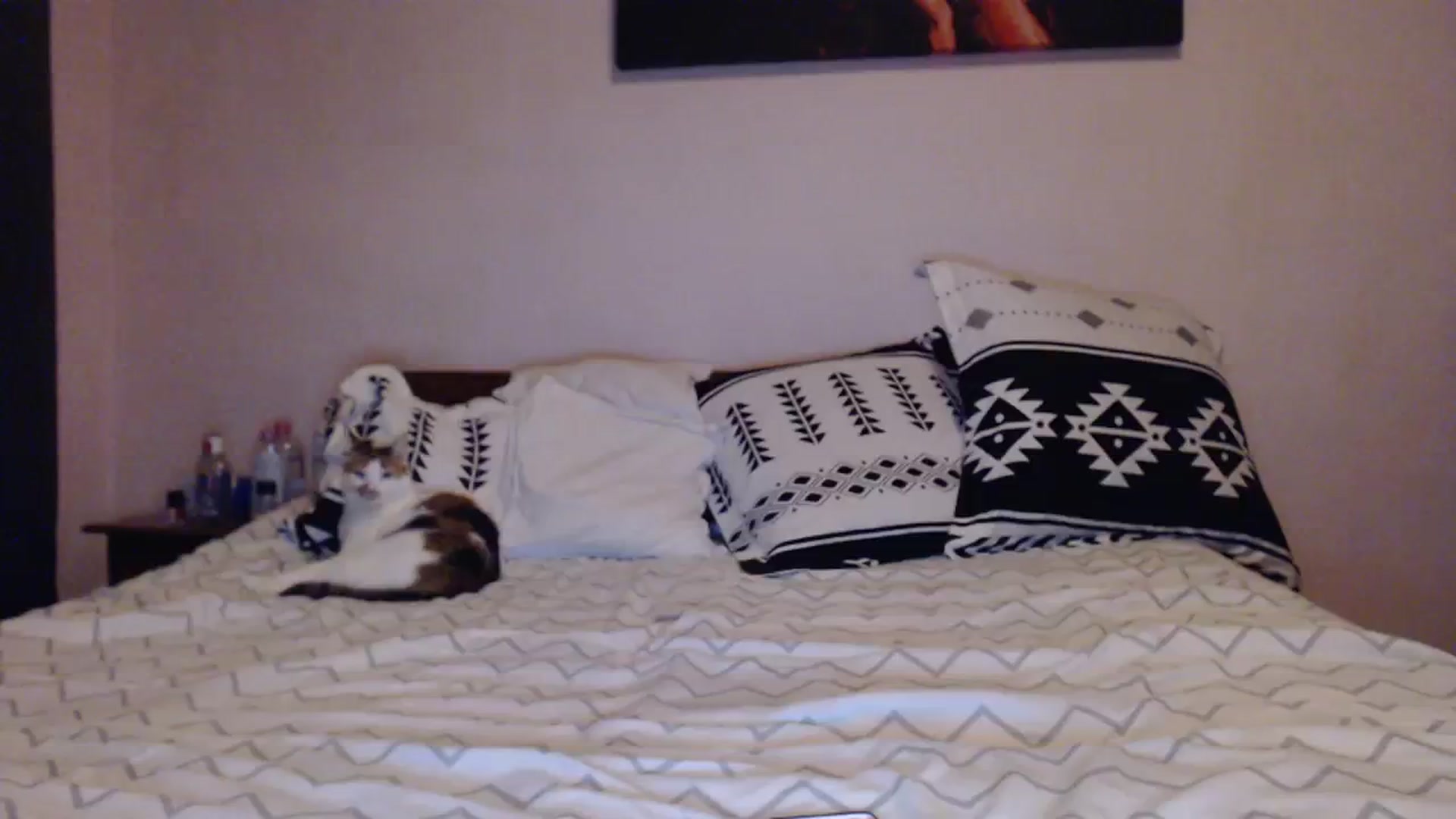 Gallery image thumbnail from Aahh_Emilia's myfreecams stream on, 12/03/2023, 18:05 image 12 of 20