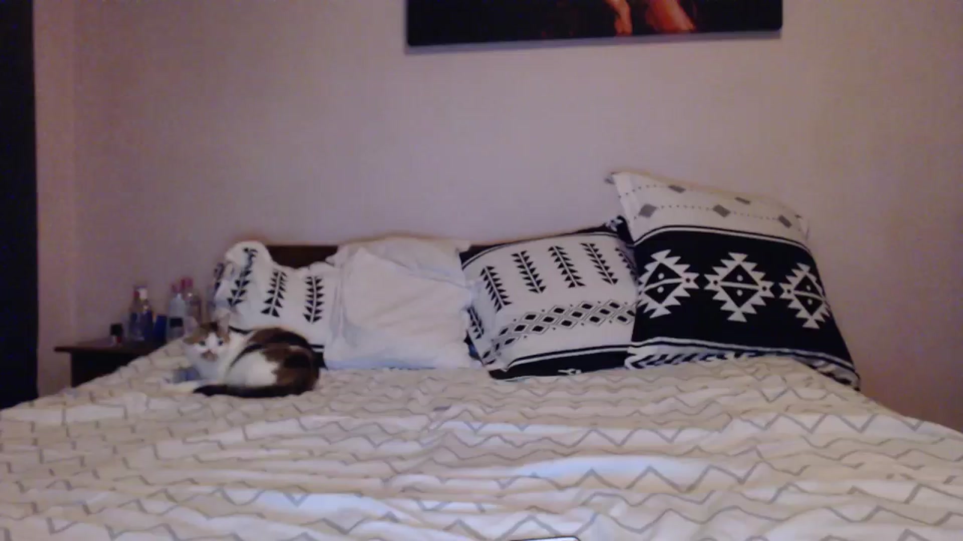 Gallery image thumbnail from Aahh_Emilia's myfreecams stream on, 12/03/2023, 18:05 image 14 of 20