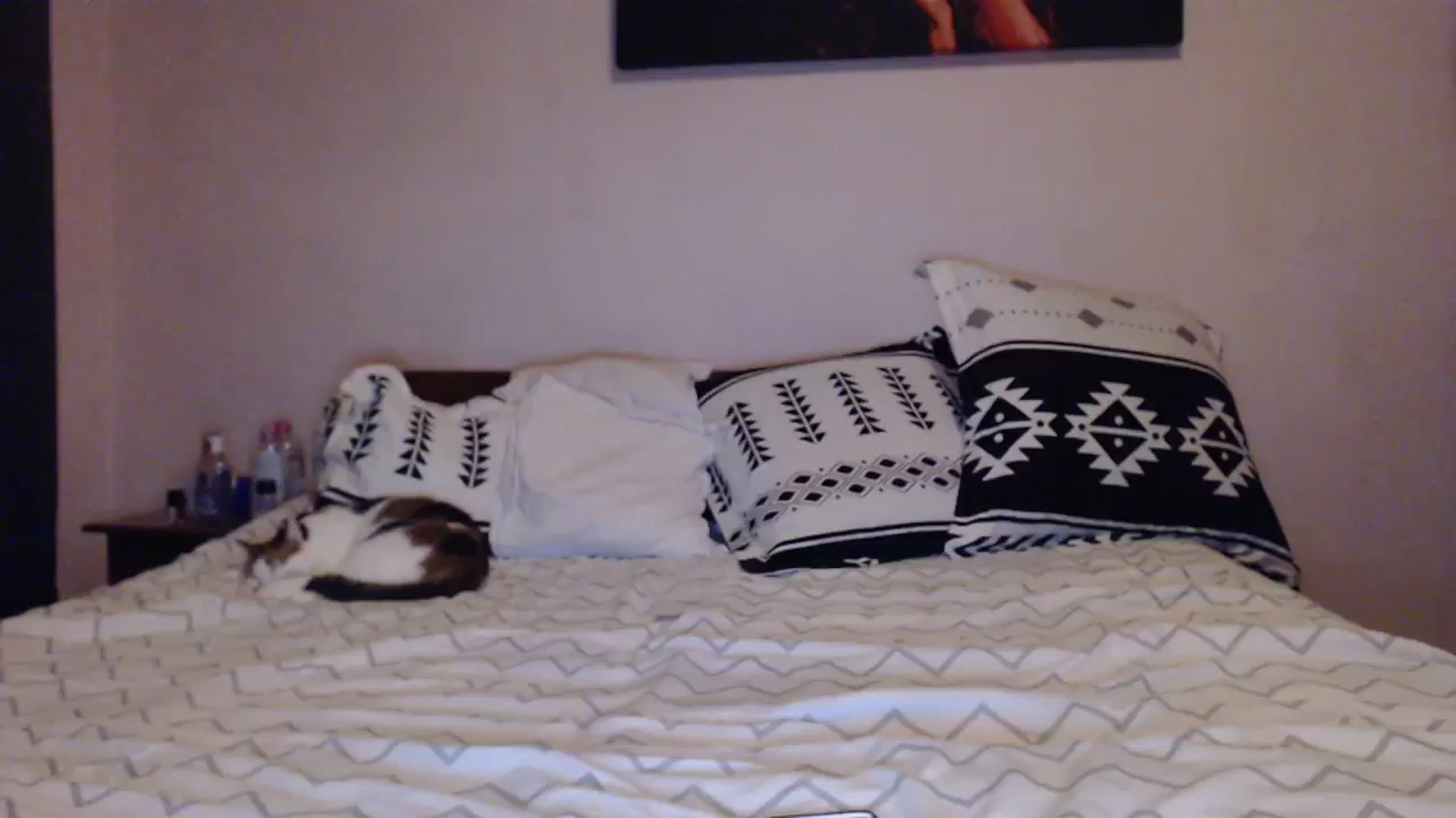Gallery image thumbnail from Aahh_Emilia's myfreecams stream on, 12/03/2023, 18:05 image 19 of 20