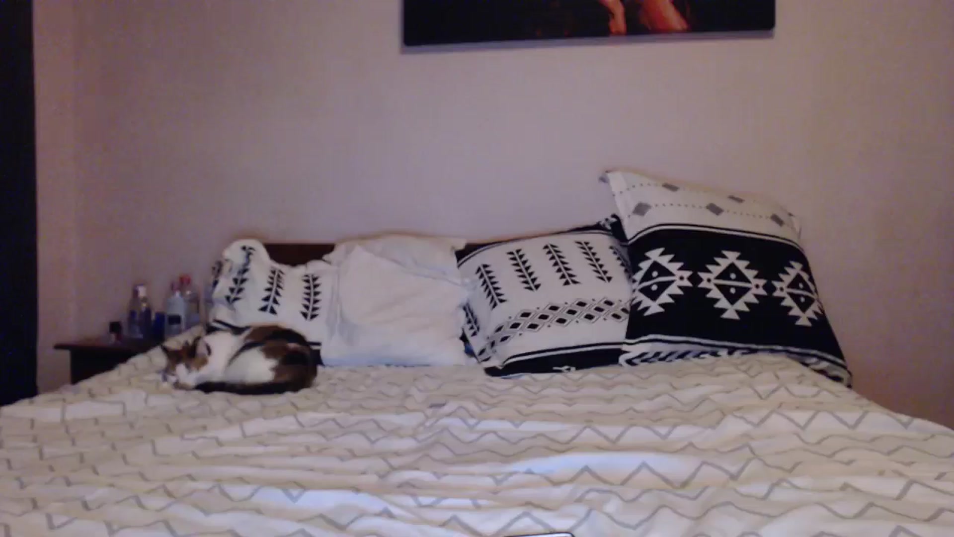Gallery image thumbnail from Aahh_Emilia's myfreecams stream on, 12/03/2023, 18:05 image 17 of 20