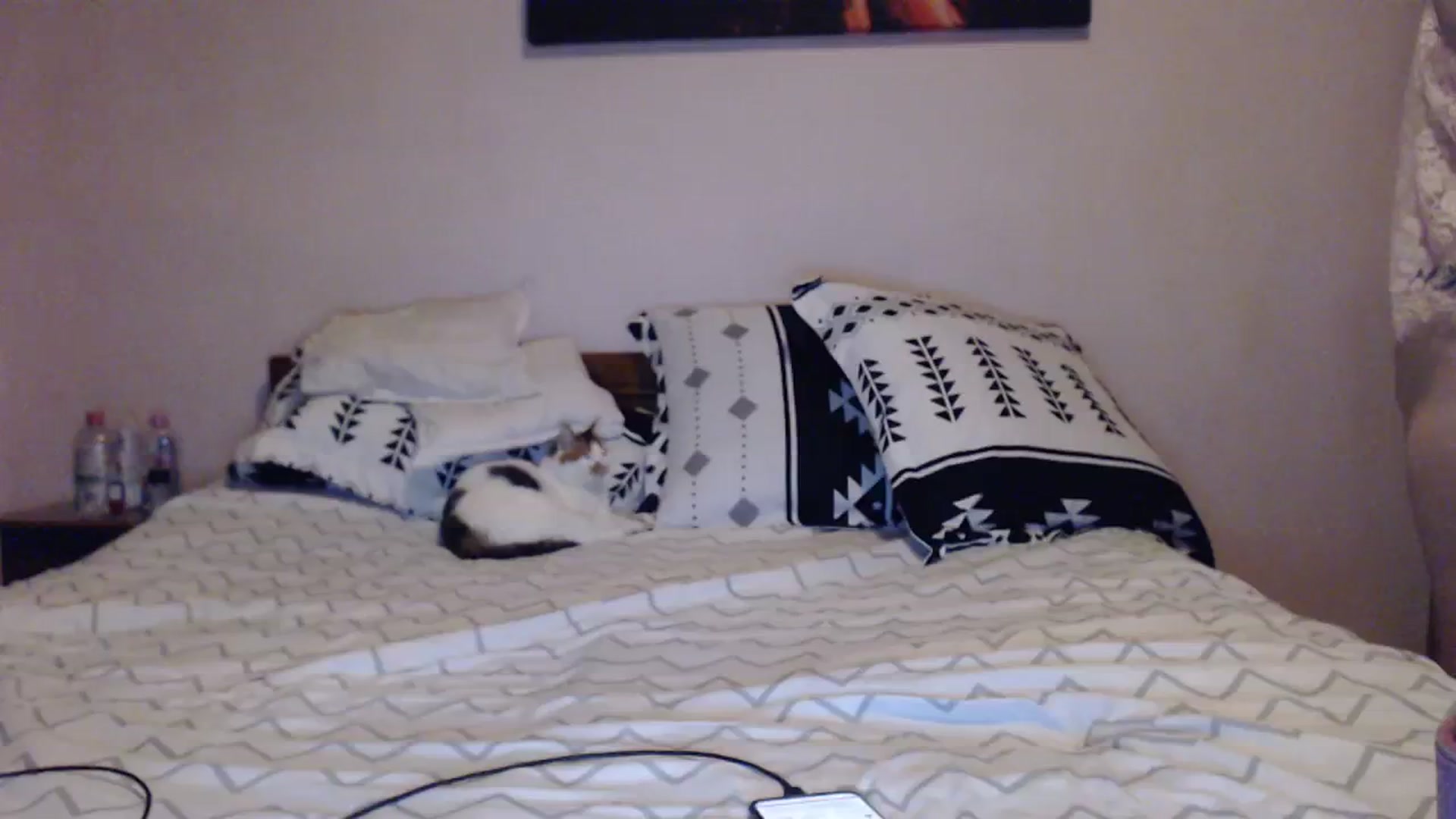 Gallery image thumbnail from Aahh_Emilia's myfreecams stream on, 12/05/2023, 16:30 image 4 of 20