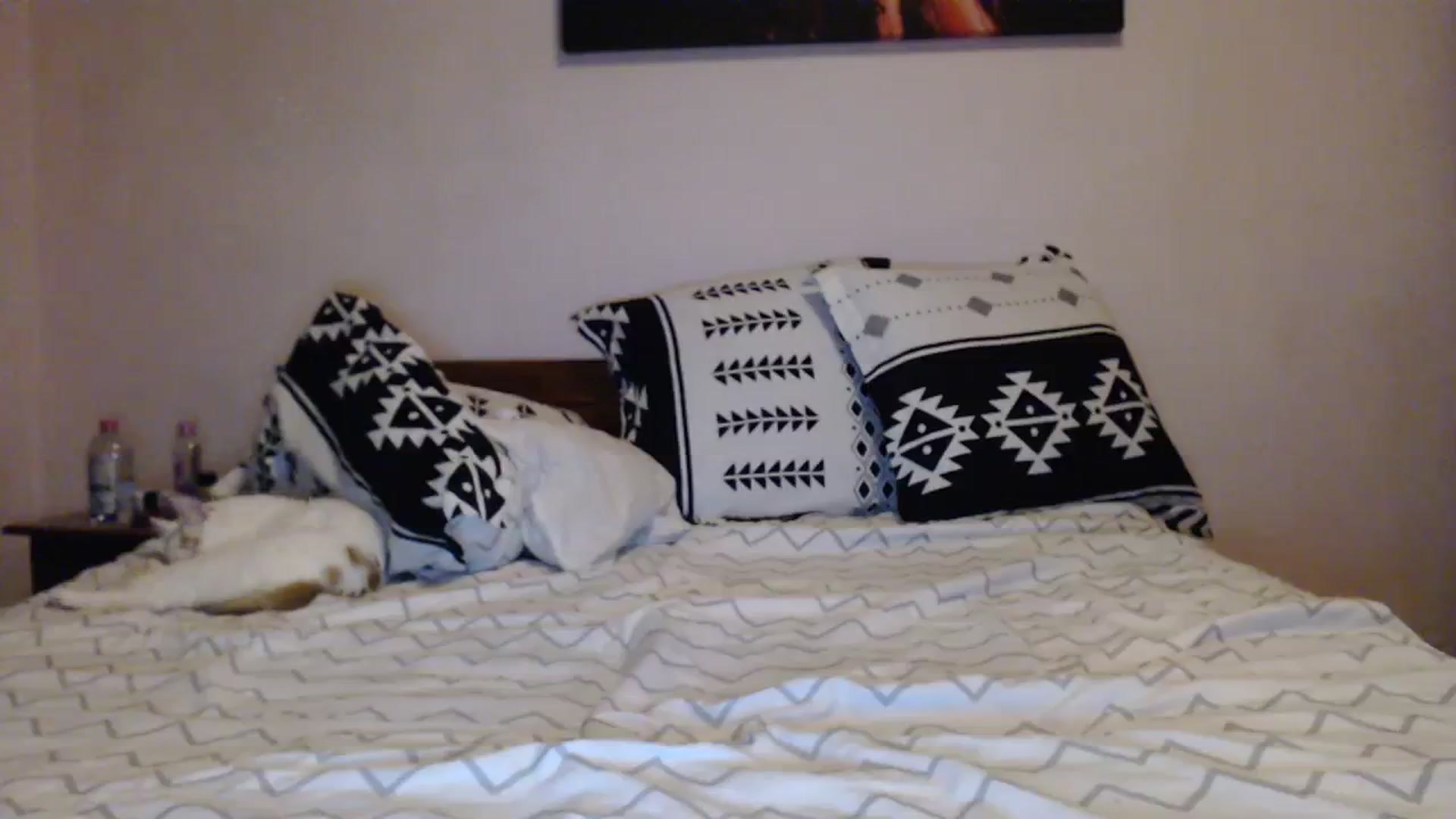 Gallery image thumbnail from Aahh_Emilia's myfreecams stream on, 12/06/2023, 18:25 image 13 of 20