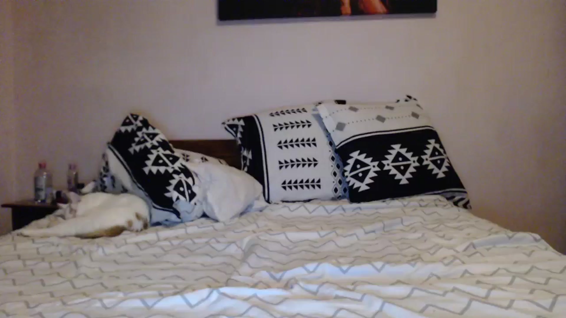 Gallery image thumbnail from Aahh_Emilia's myfreecams stream on, 12/06/2023, 18:25 image 17 of 20
