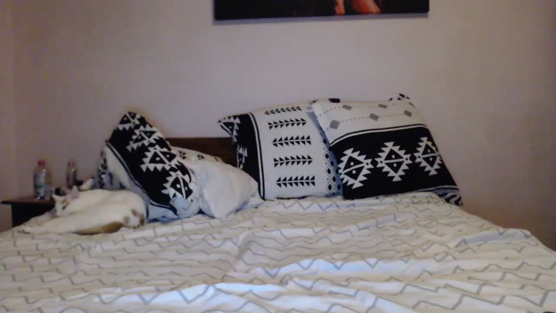 Gallery image thumbnail from Aahh_Emilia's myfreecams stream on, 12/06/2023, 18:25 image 12 of 20