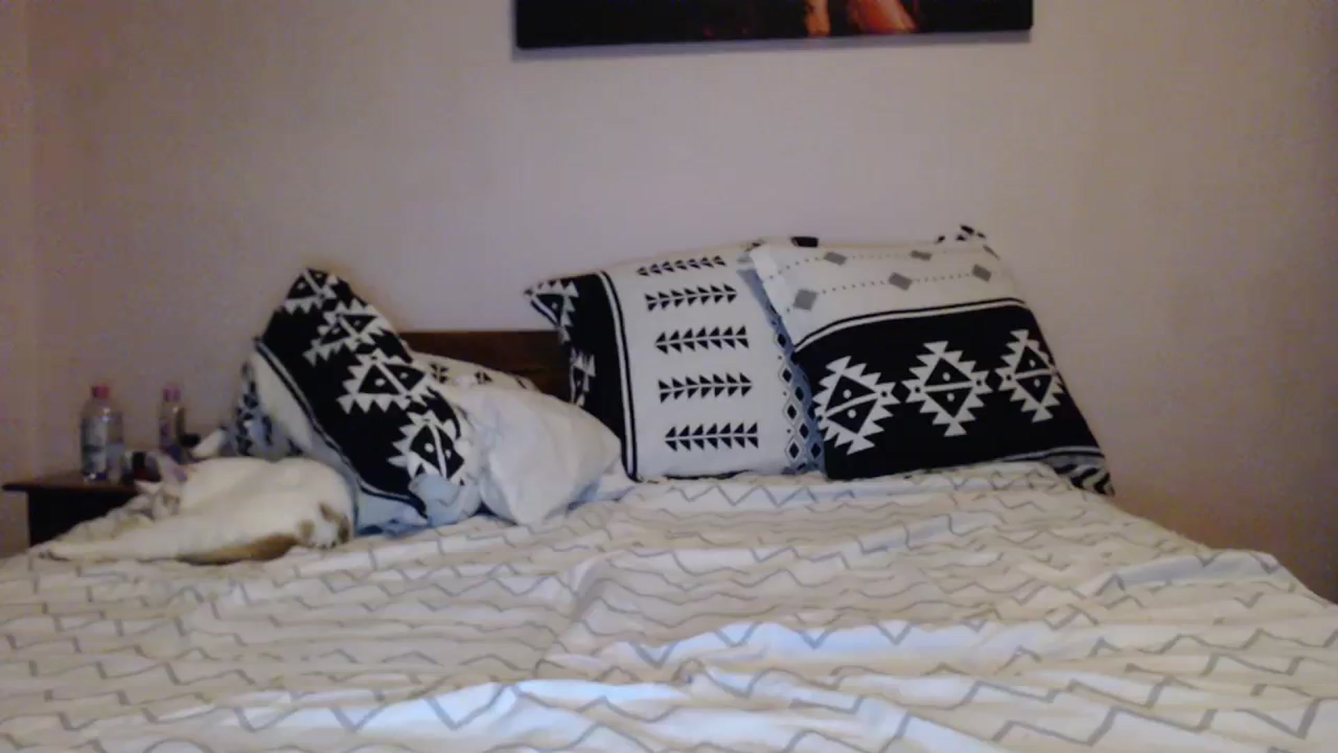Gallery image thumbnail from Aahh_Emilia's myfreecams stream on, 12/06/2023, 18:25 image 14 of 20
